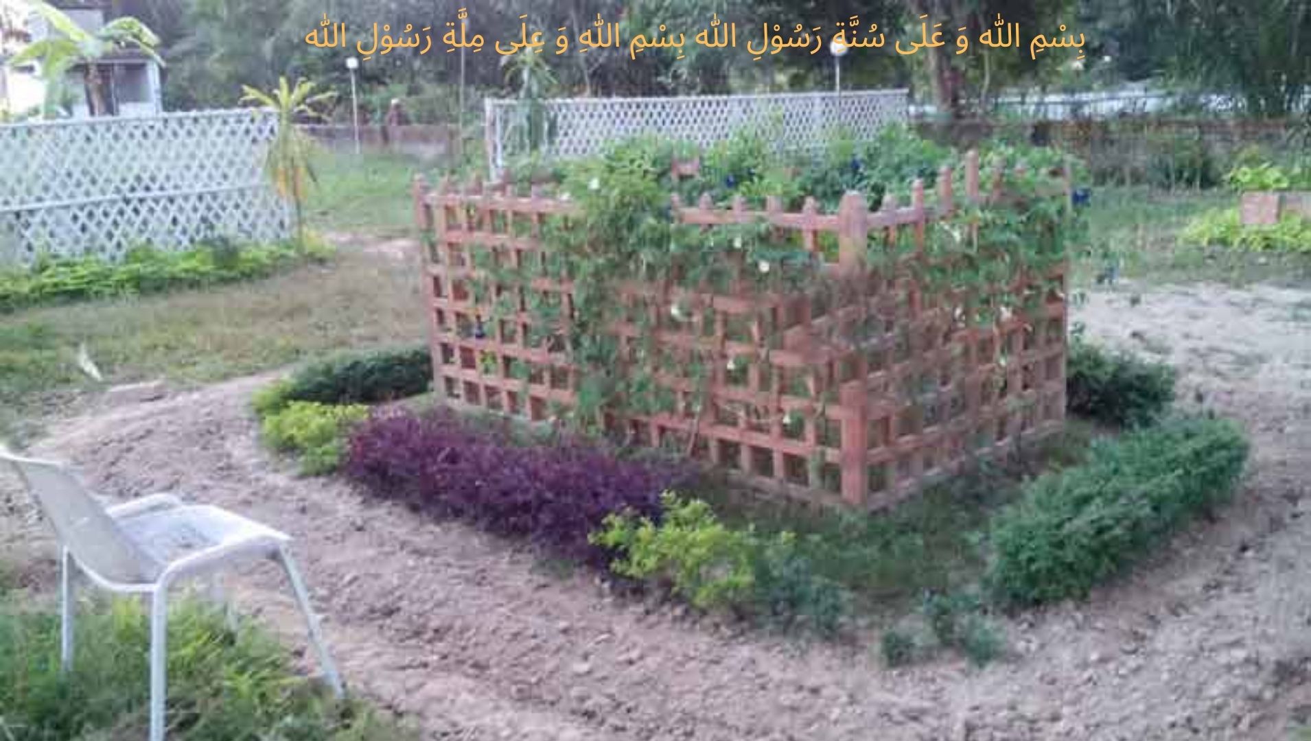 মৃতদের জন্য যে ২ আমল করা যায়