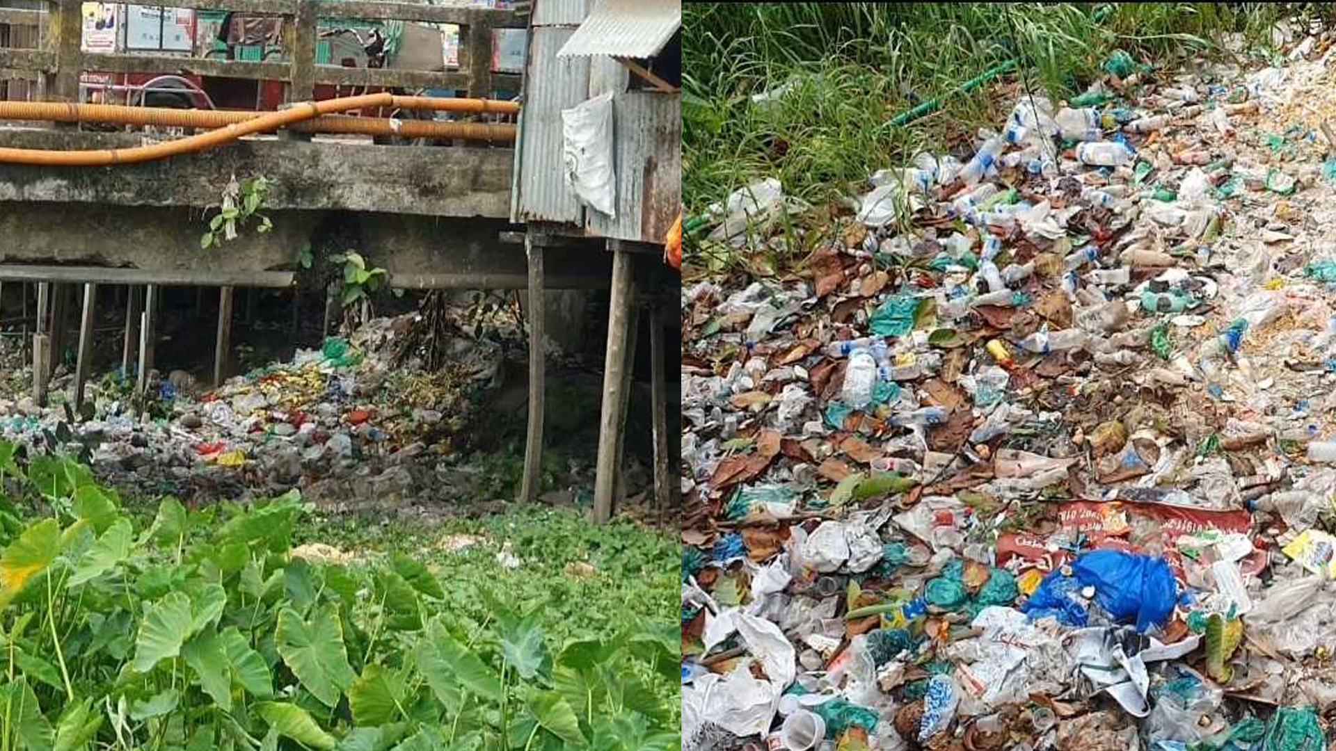 Xonim yuzida tugatdi Krasnodarlik ayol yomon