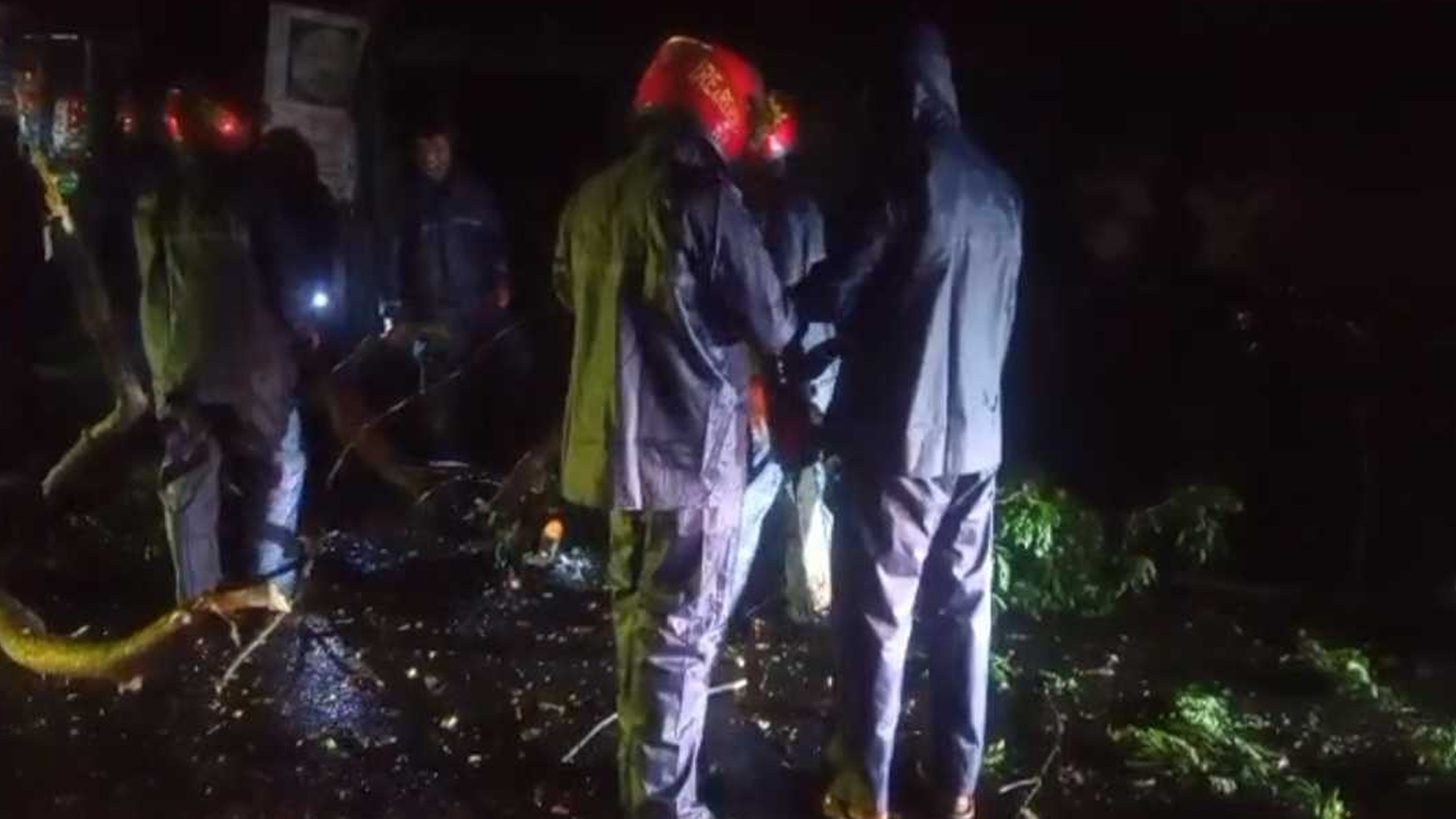 কালবৈশাখীতে মুন্সীগঞ্জে গাছ উপড়ে পড়ে সড়ক অবরুদ্ধ, ফায়ার সার্ভিসের তৎপরতায় যান চলাচল স্বাভাবিক