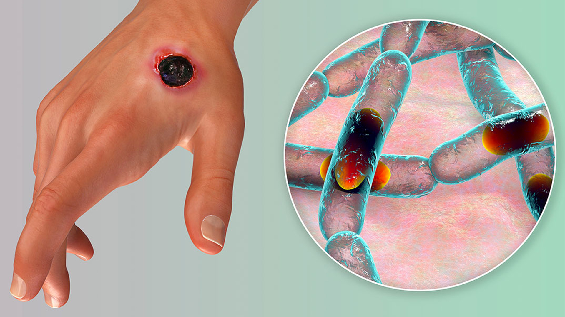 Voyer bank.com maxfiy kamerasi videoni tomosha qiling Rot jinsiy aloqa video rus imtihon