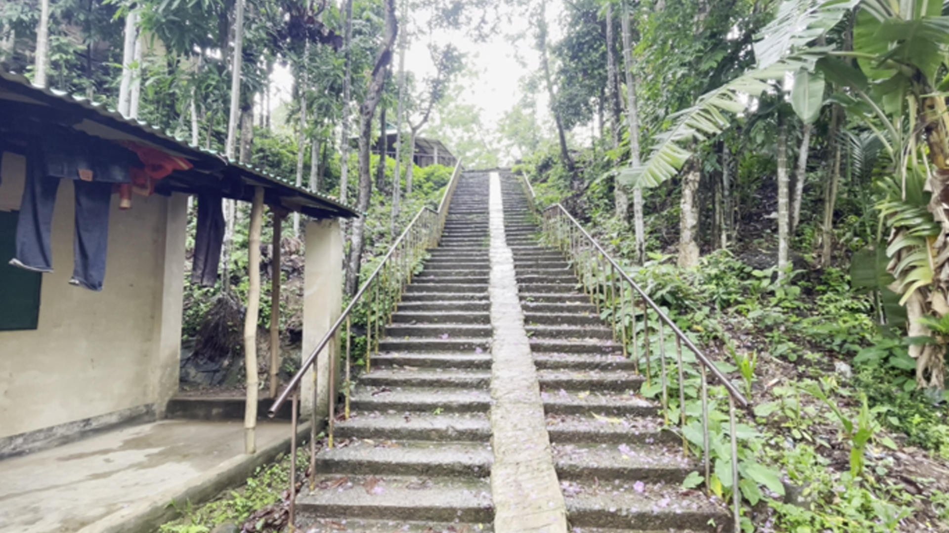 Video darslik: Yaxshi Blowjob Yirtqichlar ayollarni sikishadi