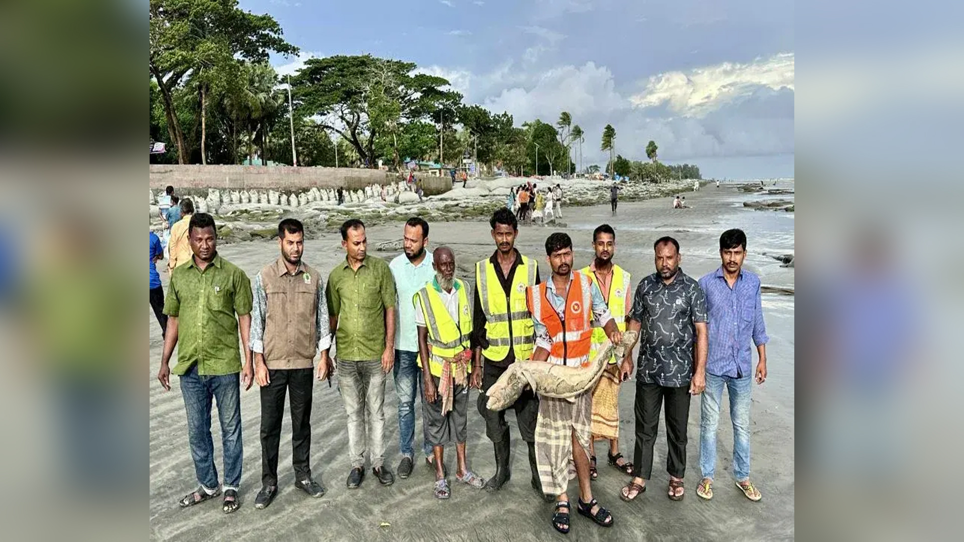 একদিনের ব্যবধানে কুয়াকাটায় ভেসে এলো ইরাবতী মৃত ডলফিন