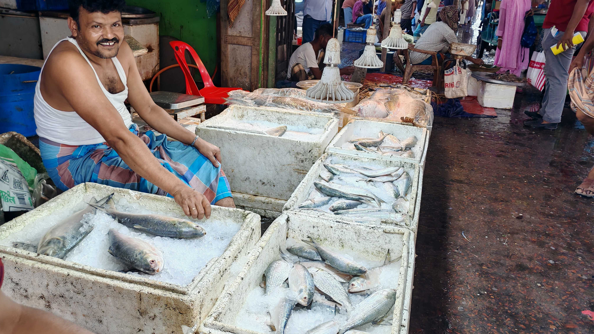বরিশালের বাজার থেকে হঠাৎ করেই যেন উধাও ইলিশ!
