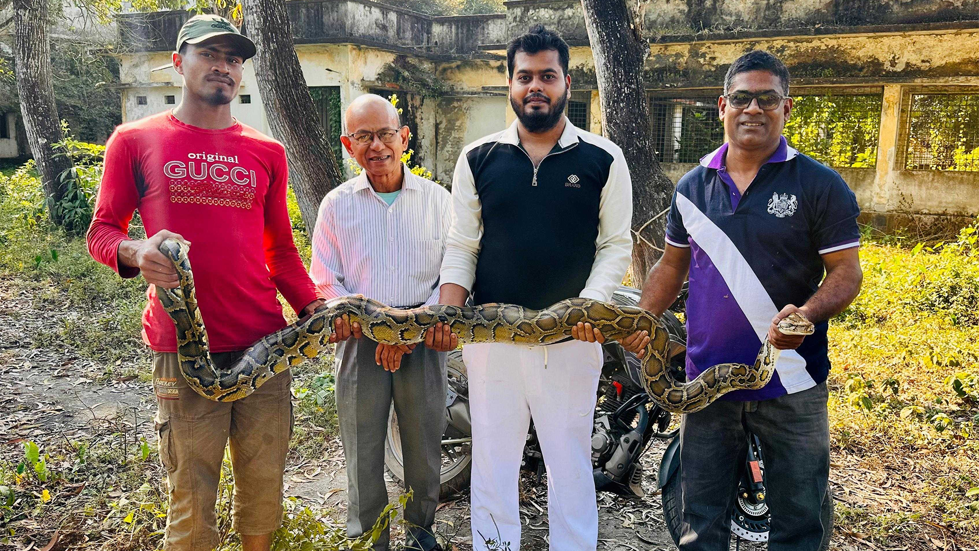 মৌলভীবাজারে আবারও ১২ ফুট লম্বা অজগর উদ্ধার
