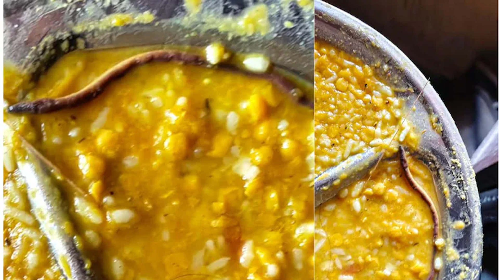 খাবারের প্লেটে মরা সাপ! হাসপাতালে শতাধিক শিক্ষার্থী