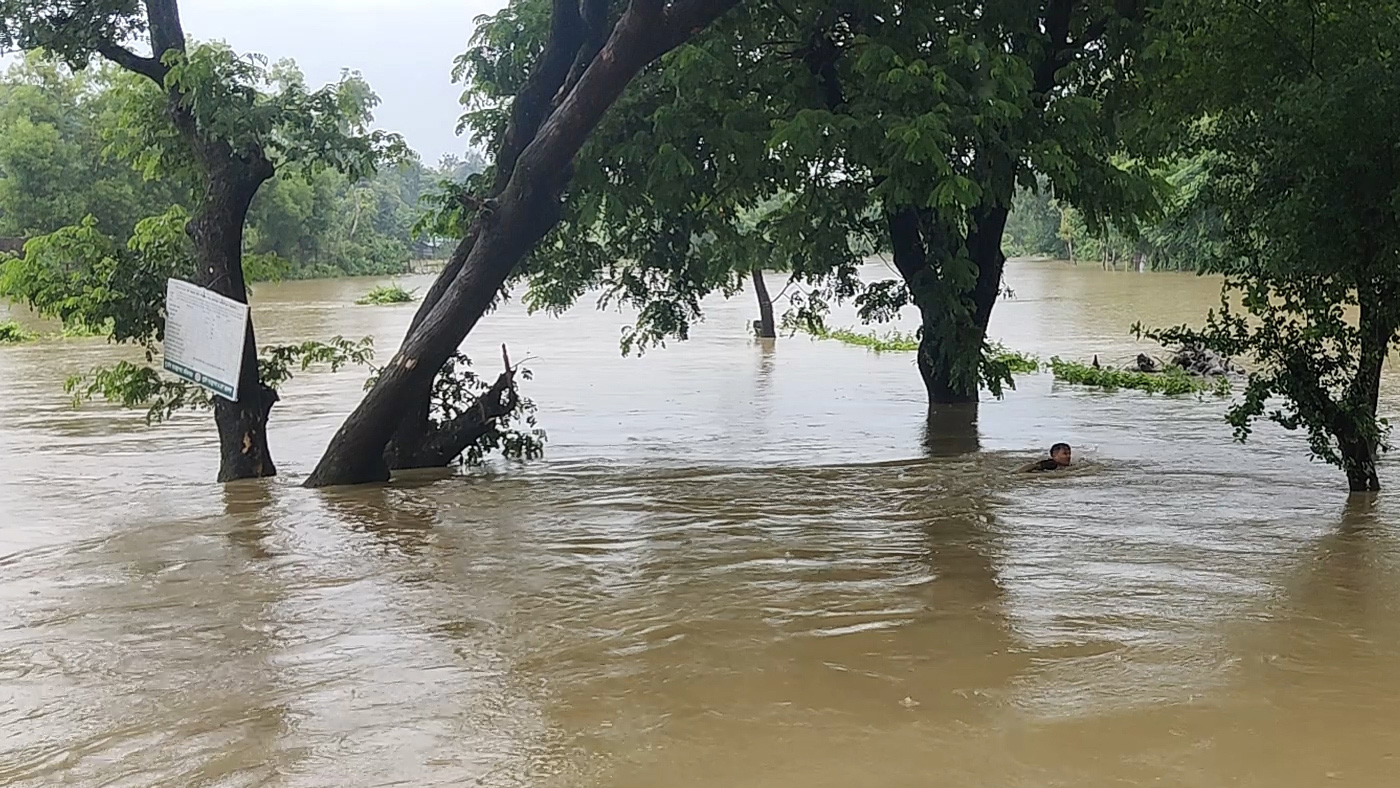 ফেনী ও কুমিল্লায় বন্যার প্রবল শঙ্কা