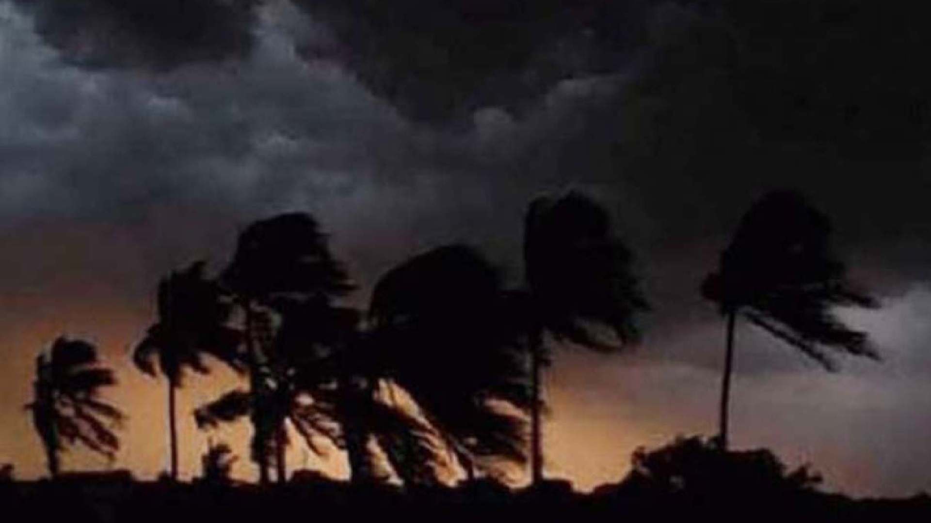 সন্ধ্যার মধ্যে যেসব জেলায় ঝড়ো বাতাসসহ বজ্রবৃষ্টির শঙ্কা