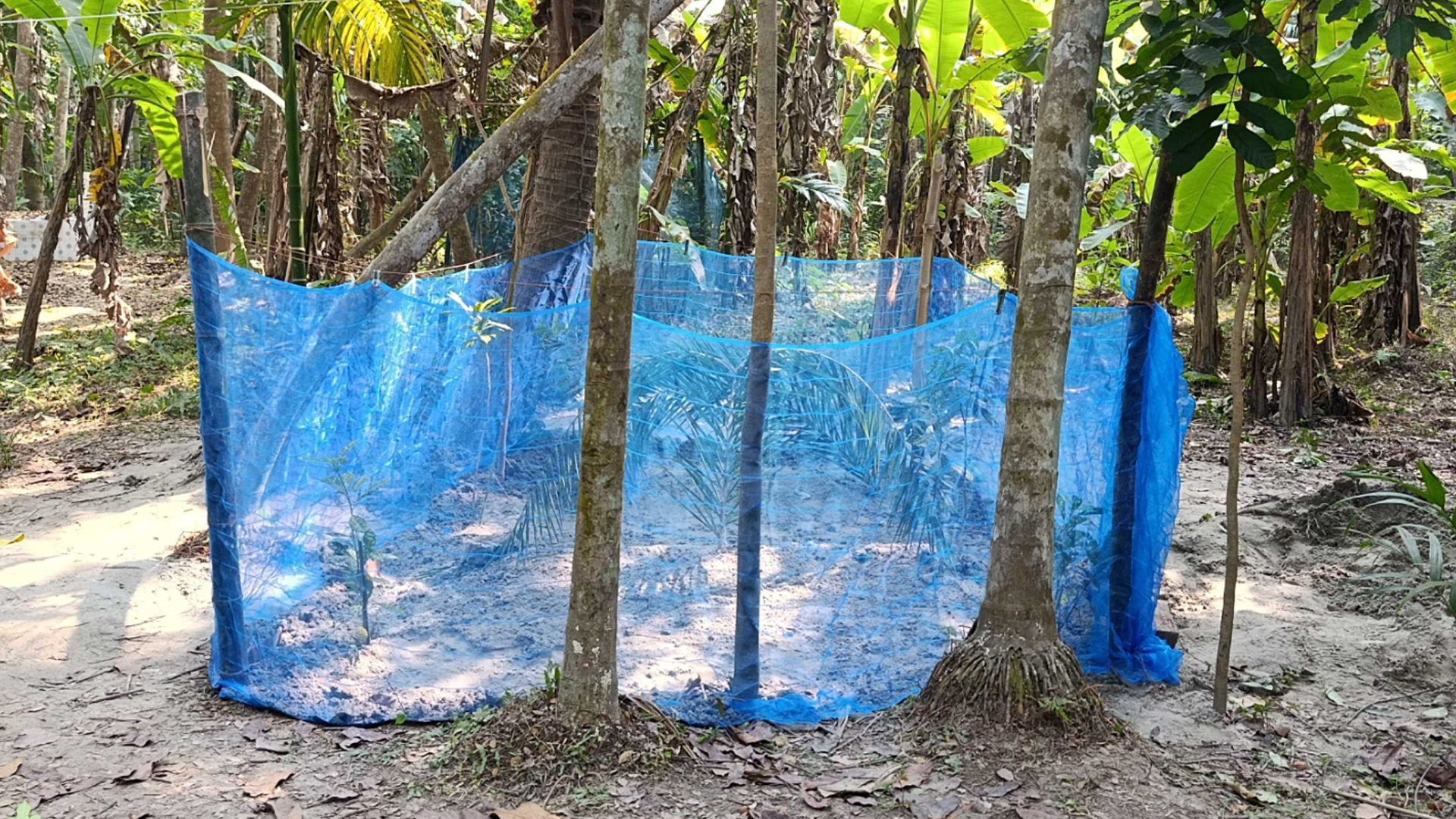 শেষ বিছানায়ও পাশাপাশি চিরঘুমে মা-ছেলে