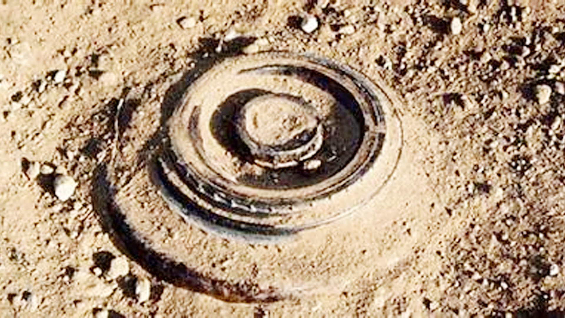 সীমান্তে মাইন বিস্ফোরণে রোহিঙ্গা যুবকের পা ক্ষত-বিক্ষত