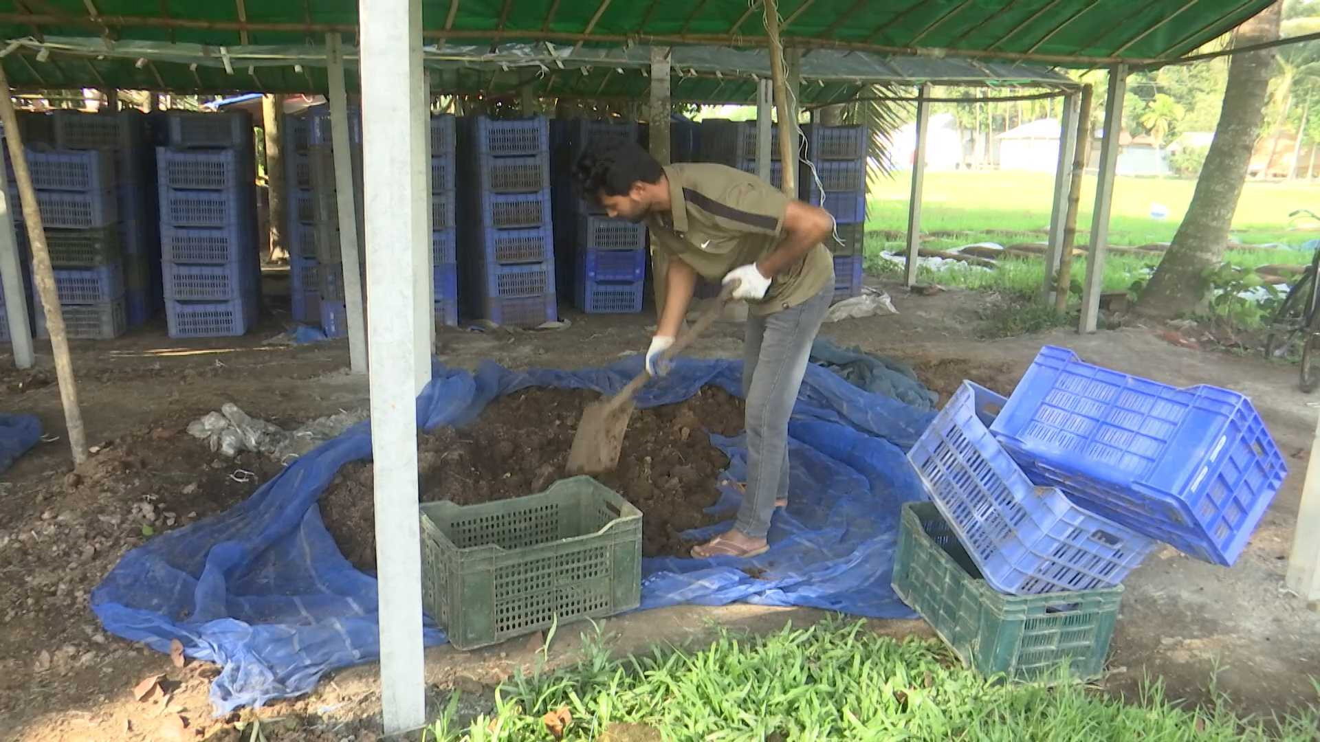 রংপুরের সোহেলের ছোট ‍উদ্যোগে বড় সফলতা!