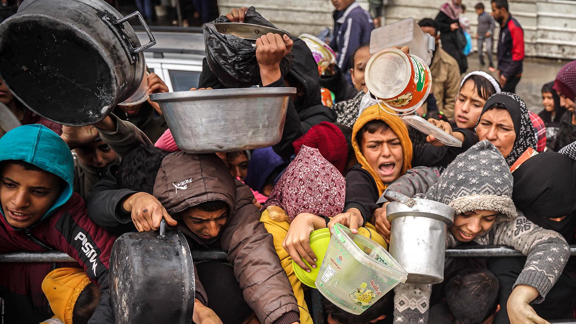 Olmaotadagi kokrak qafasi