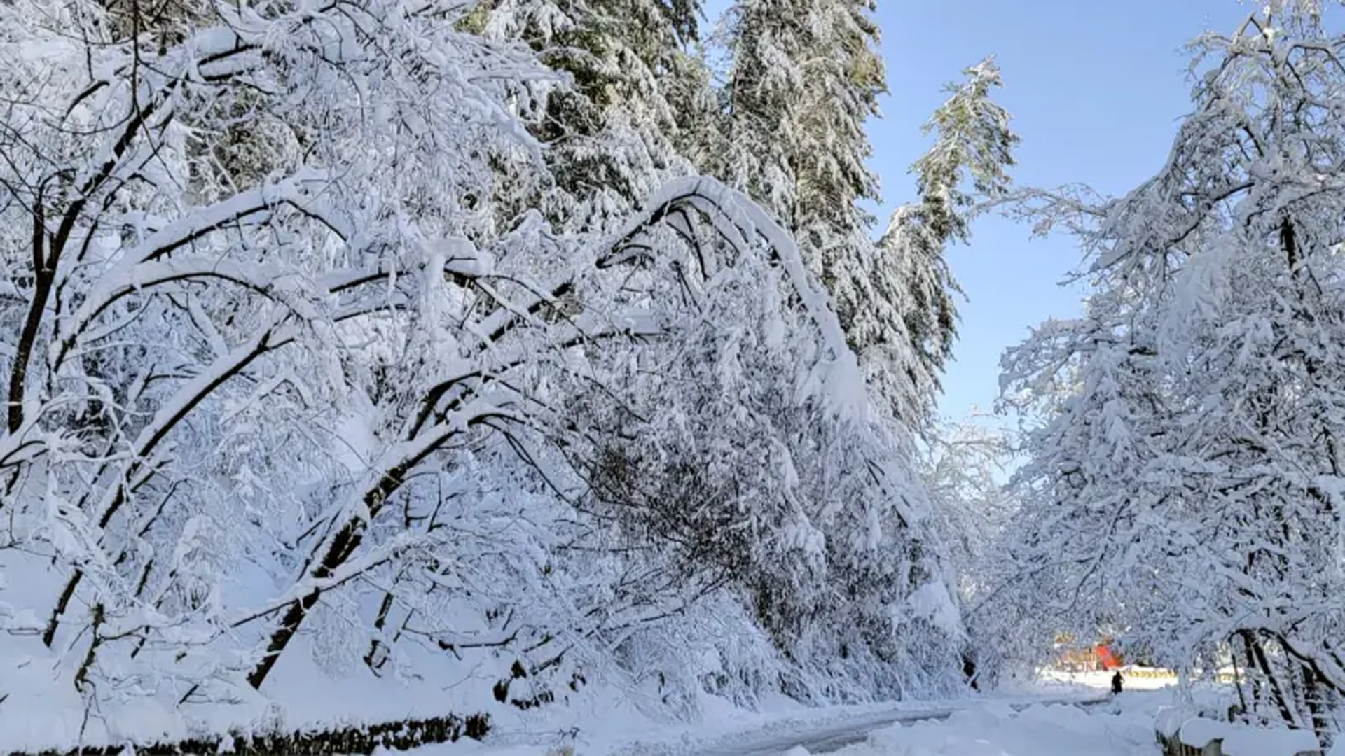 ভূমিধসের সতর্কতা জারি, পর্যটকদের ভ্রমণ এড়ানোর পরামর্শ