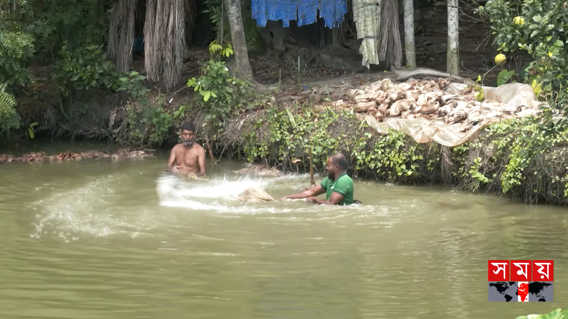 সোনালী আঁশের সম্ভাবনা কি কেবল কাগজ-কলমেই সীমাবদ্ধ থাকবে?