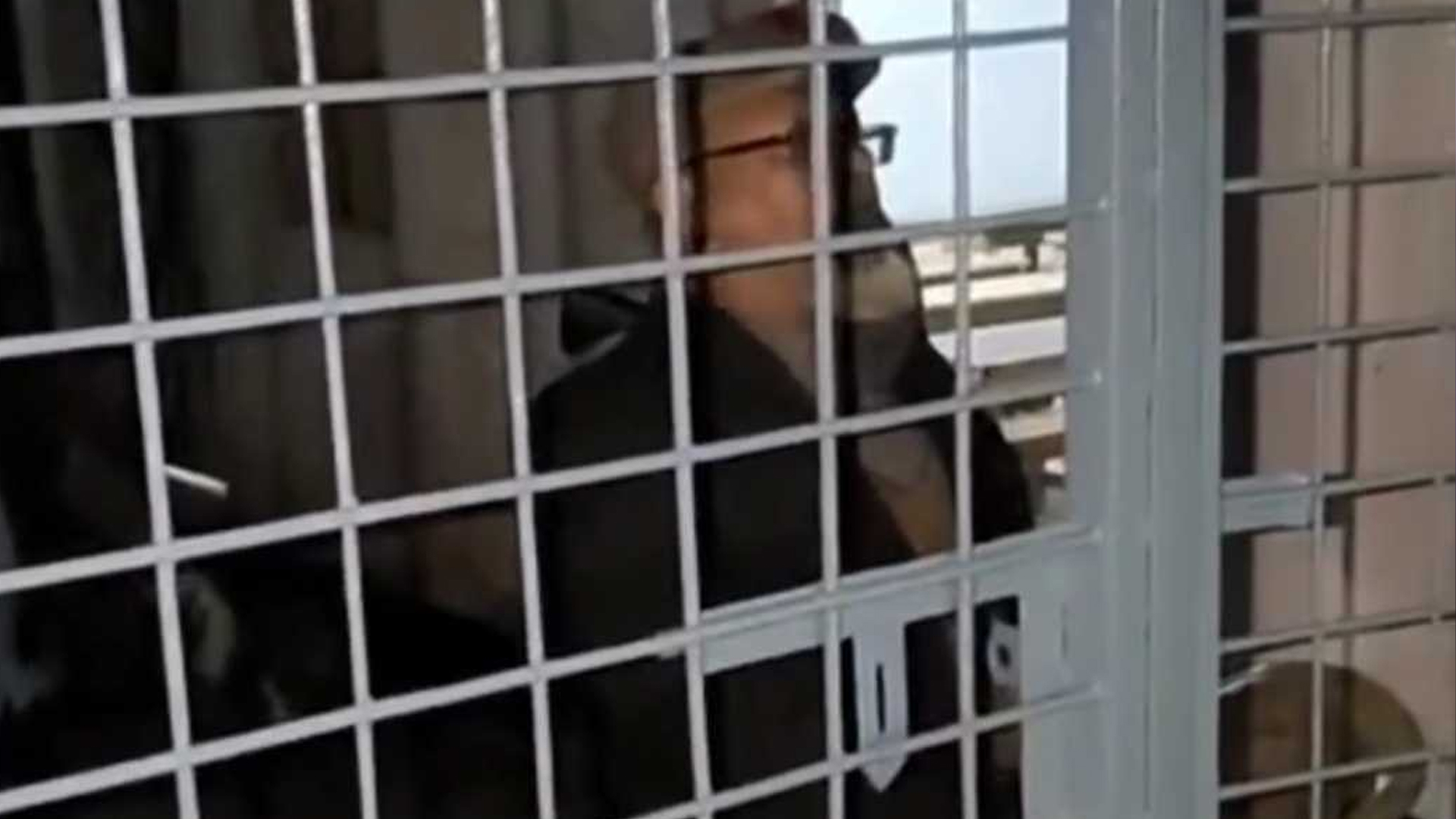 রাতের আঁধারে ভোটকেন্দ্রে প্রবেশ করে অবরুদ্ধ জামায়াত প্রার্থী