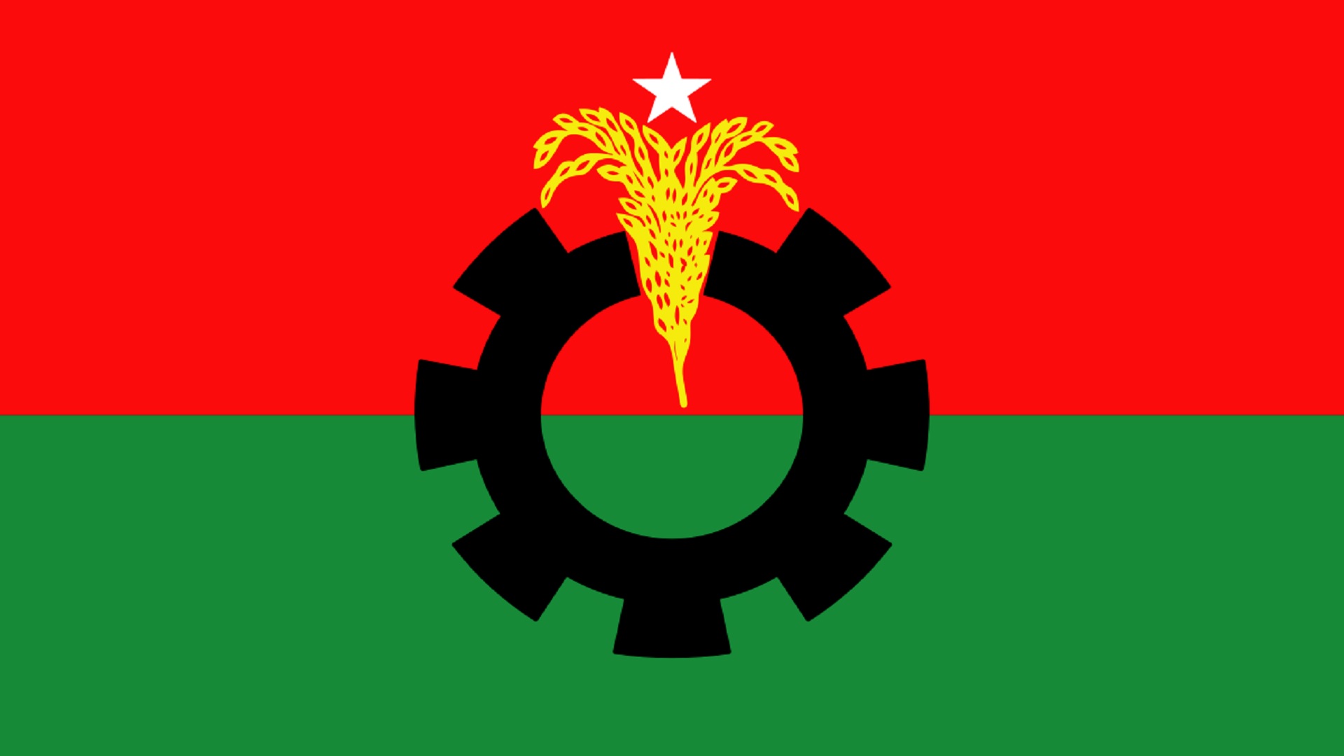 বিএনপি: ফাইল ছবি