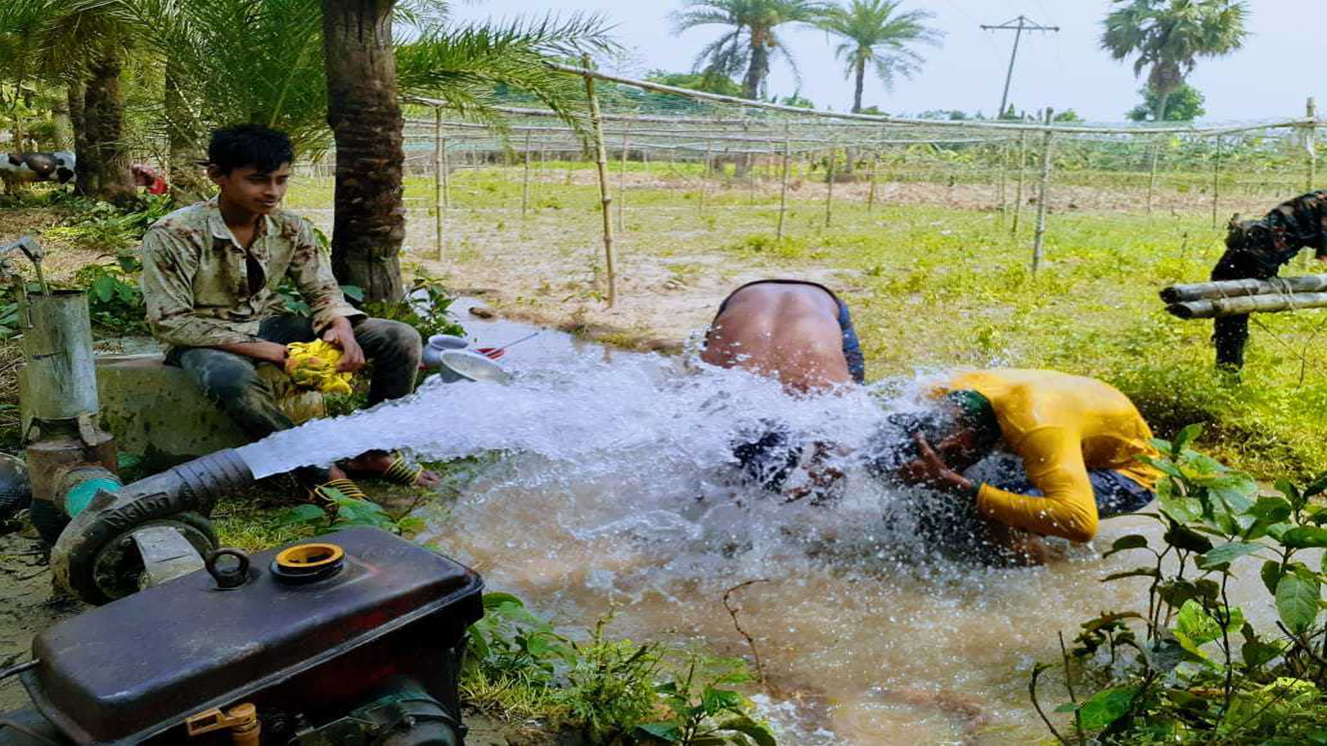 Erotik badiiy fon rasmi