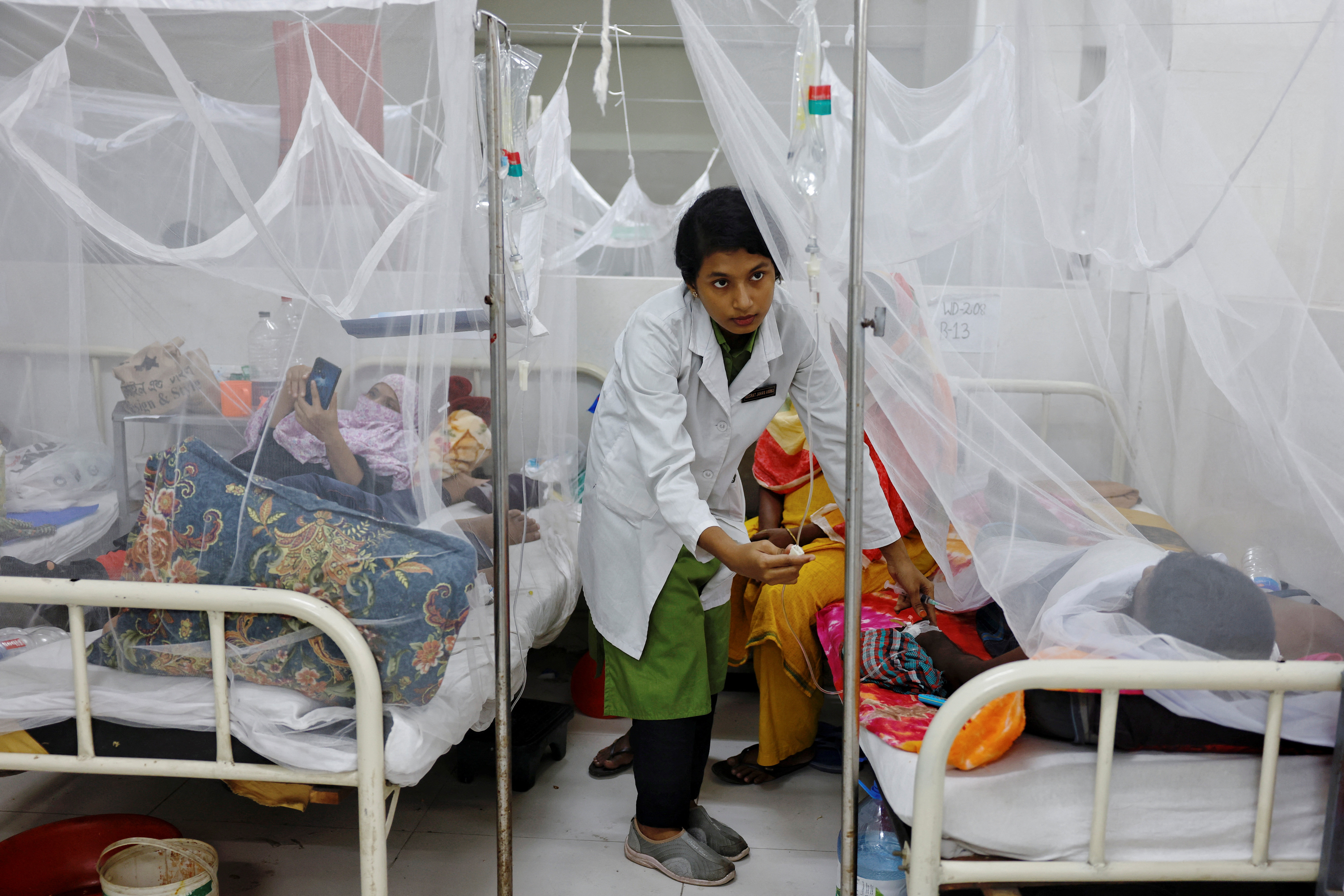 WHO urges swift action as dengue cases surge in B...