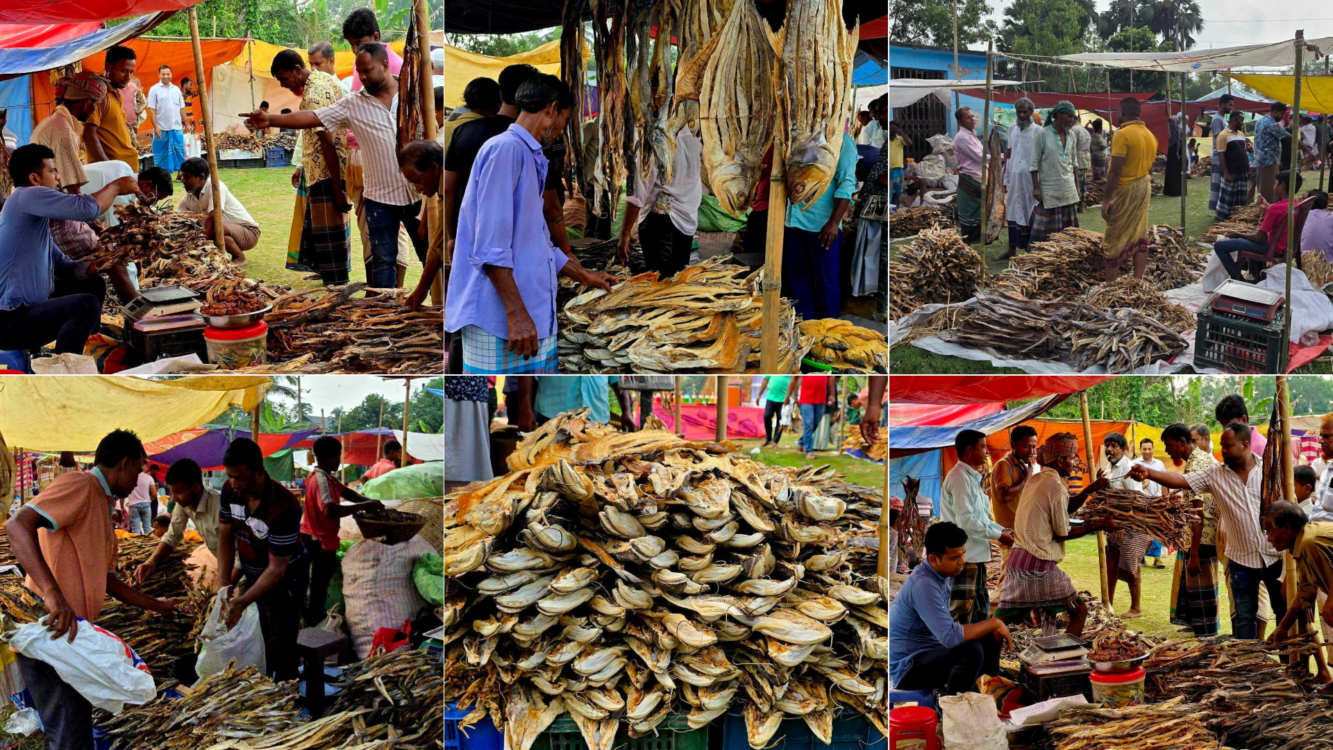 নাসিরনগরের ঐতিহ্যবাহী শুটকি মেলায় ক্রেতাদের ঢল, বিলুপ্তির পথে বিনিময় প্রথা