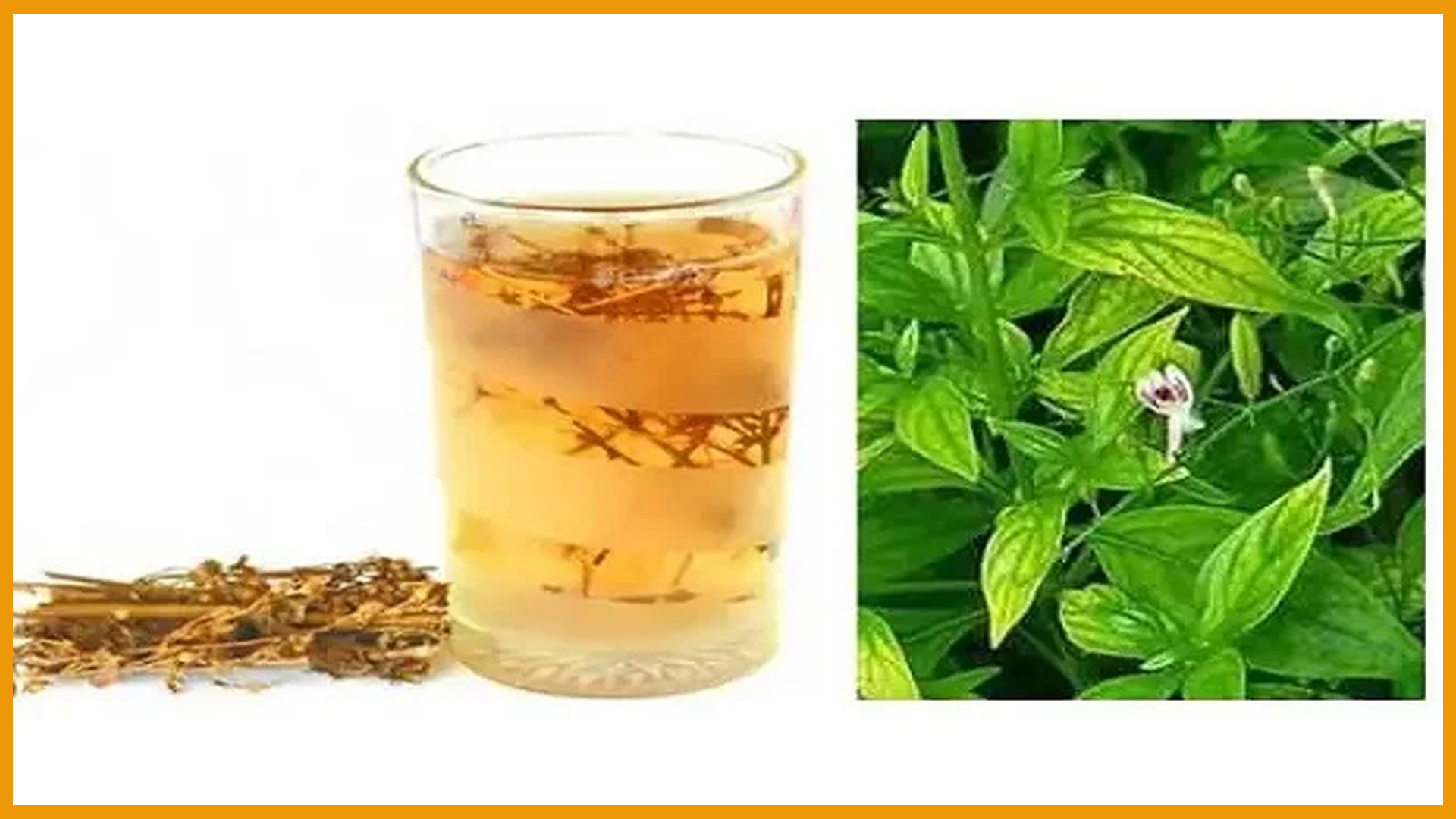 লিভার পরিষ্কার রাখবে এই জাদুকরী পানীয়