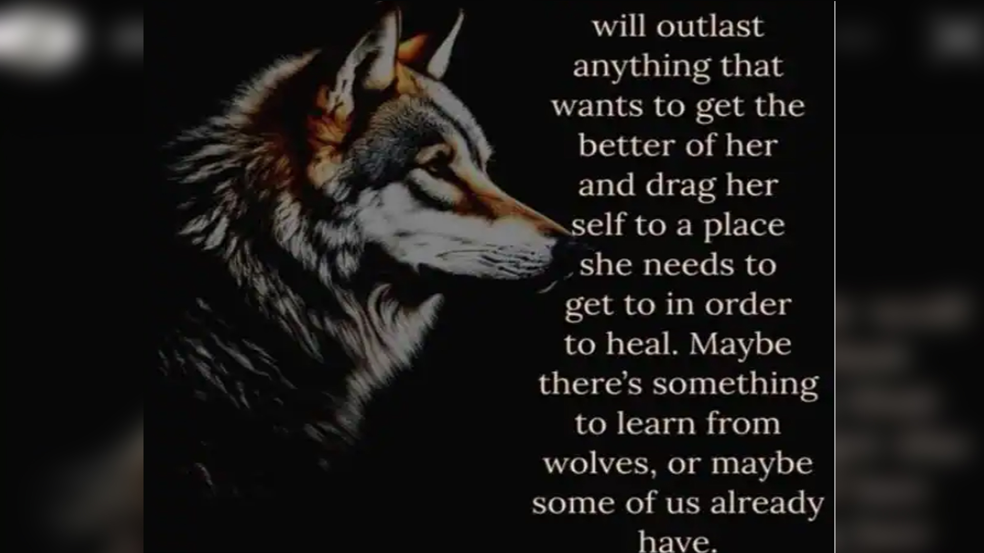 191c759bcd9365c4876ca0d4ceb479b14cae70084128d771.jpg (1920×1080)