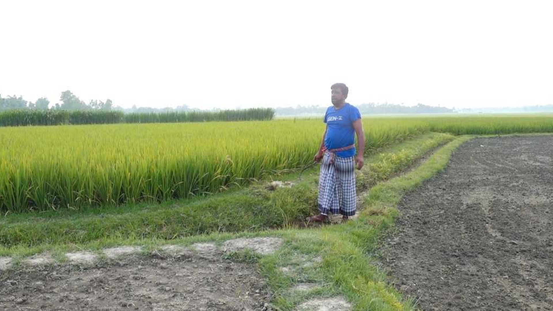 ‘কৃষক কার্ড’ নেয়া কবির কি আসলেই কৃষক, কী বললেন এলাকাবাসী