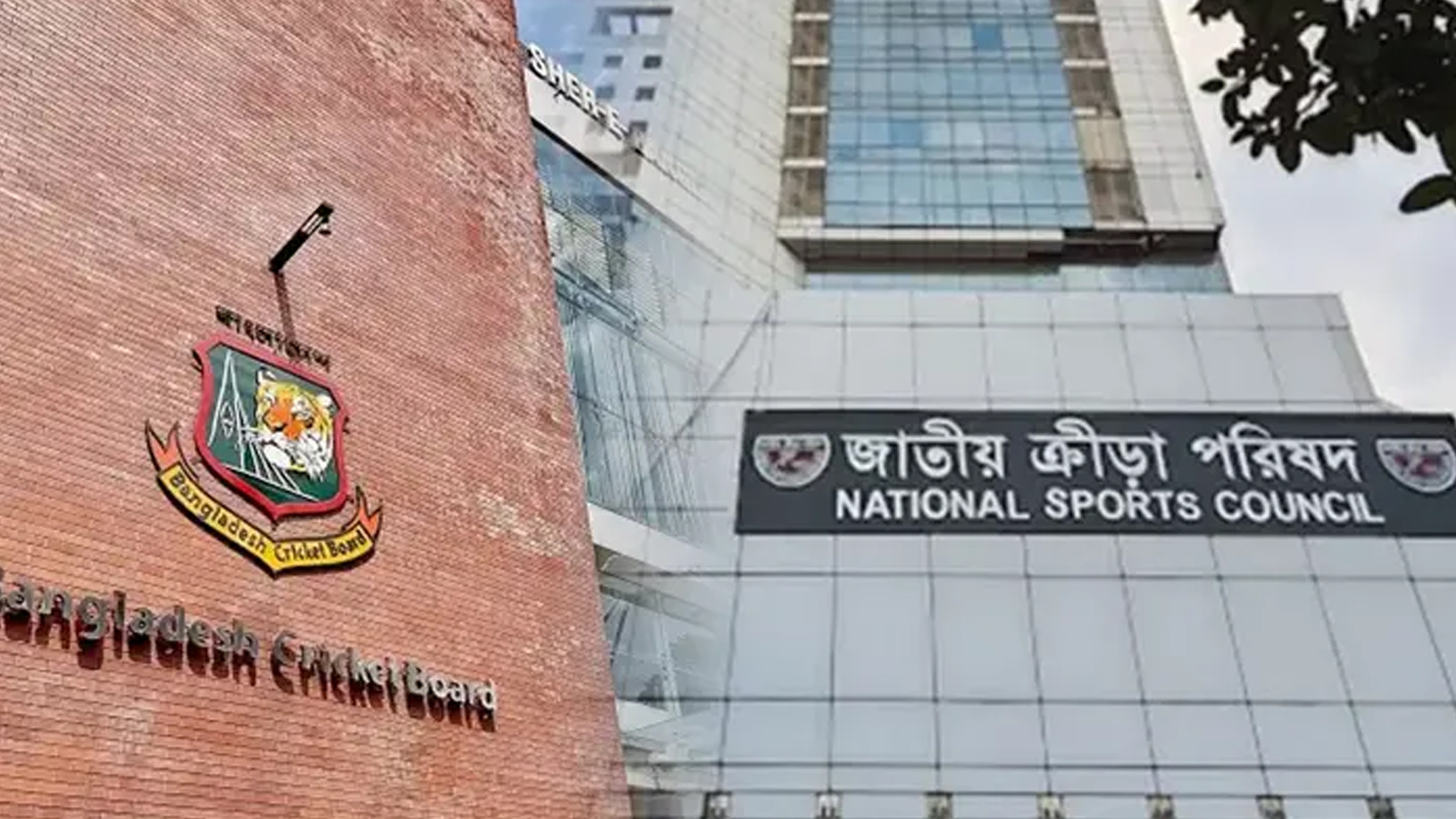 এনএসসি থেকে বিসিবি পরিচালক হলেন যারা