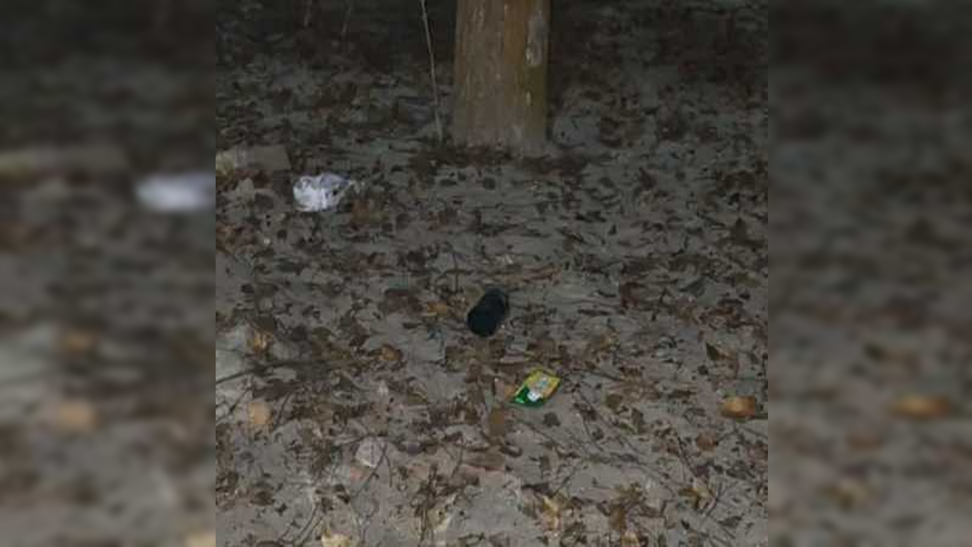 ঝিনাইদহে দুর্বৃত্তদের ছোঁড়া অবিস্ফোরিত ককটেল উদ্ধার