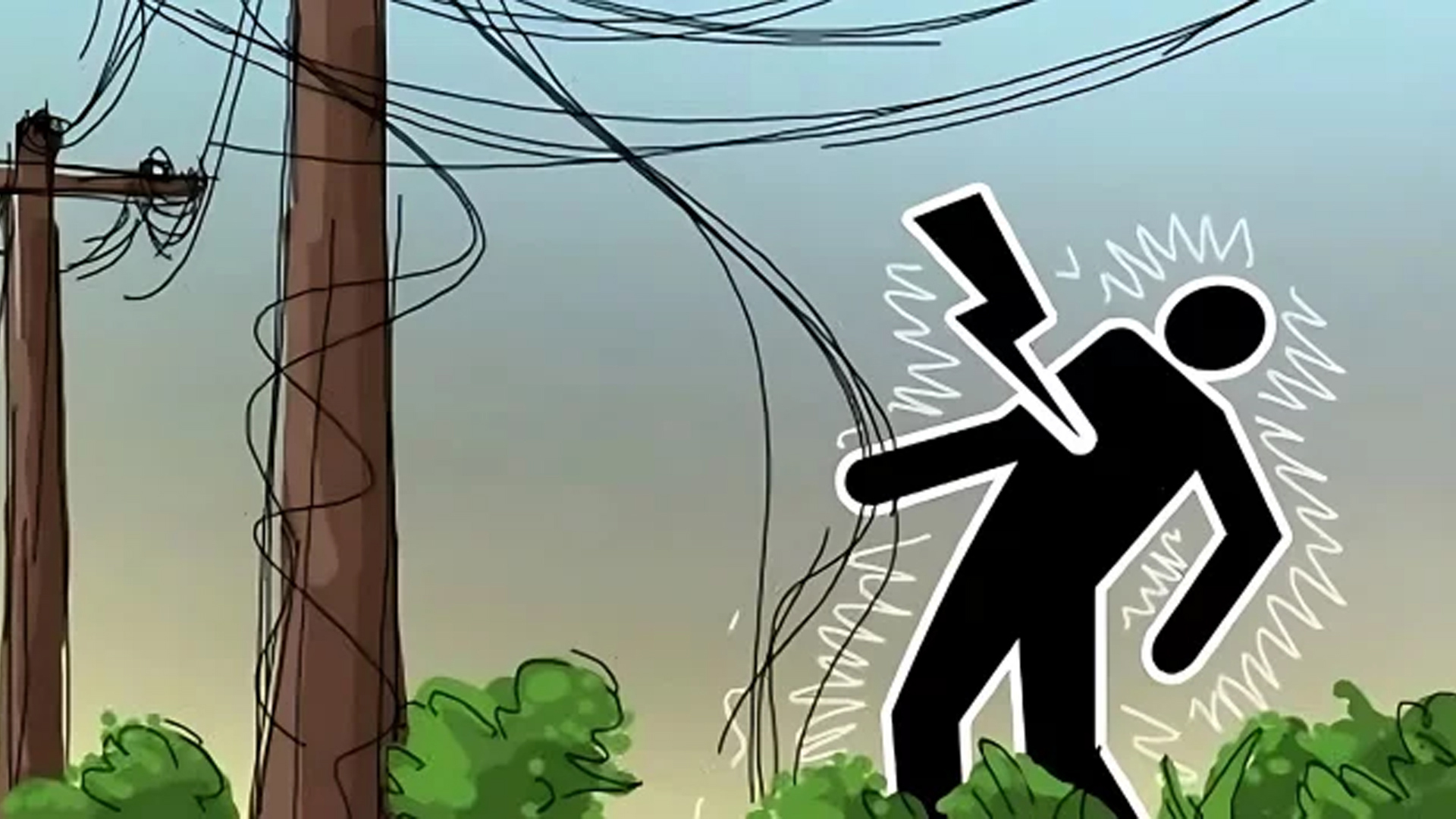 জমিতে পানি দিতে গিয়ে বিদ্যুৎস্পৃষ্টে প্রাণ হারালেন যুবদল নেতা