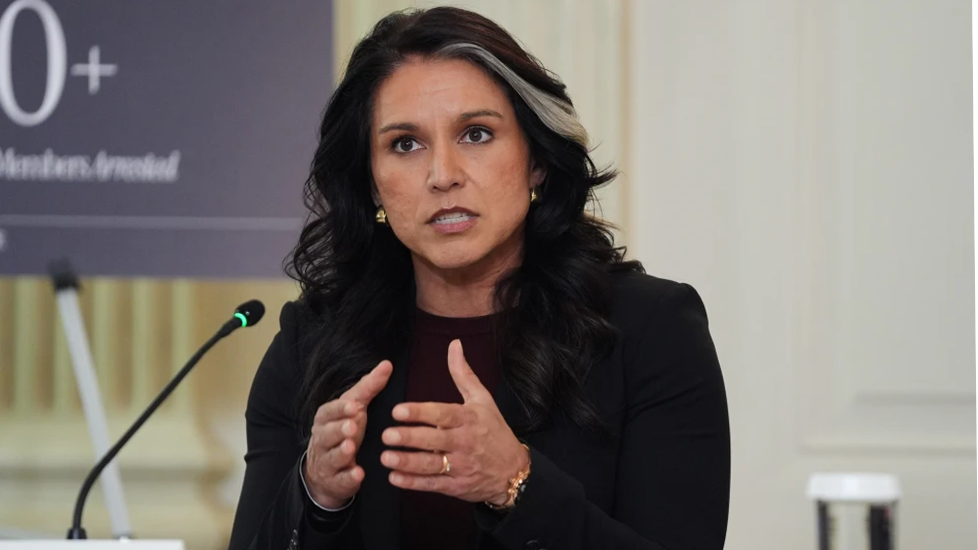 অন্য দেশে ‘সরকার বদলের’ মার্কিন নীতির অবসান হয়েছে: তুলসী গ্যাবার্ড