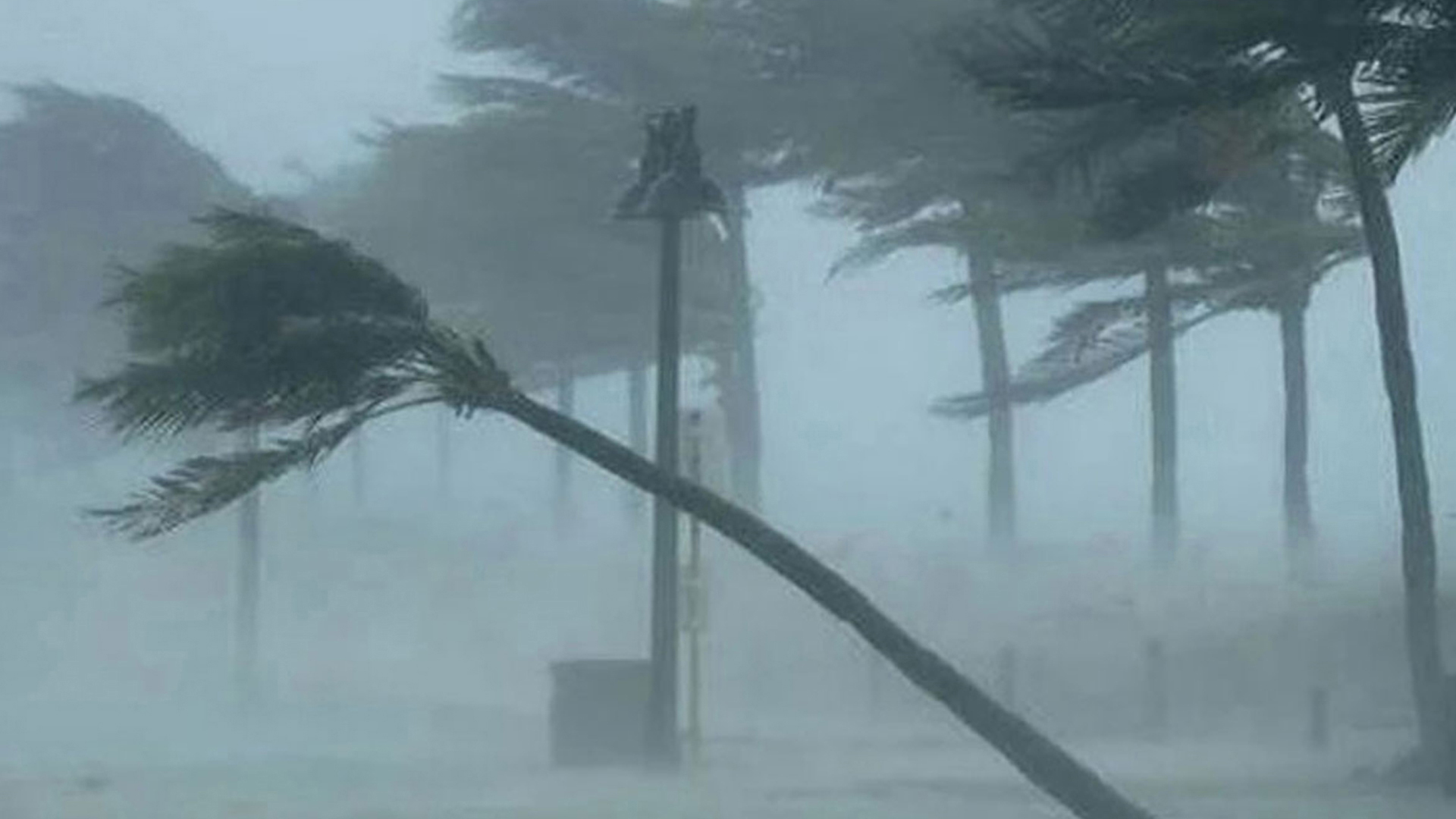 নভেম্বরে বৃষ্টি নিয়ে নতুন বার্তা, ঘূর্ণিঝড়ের শঙ্কা