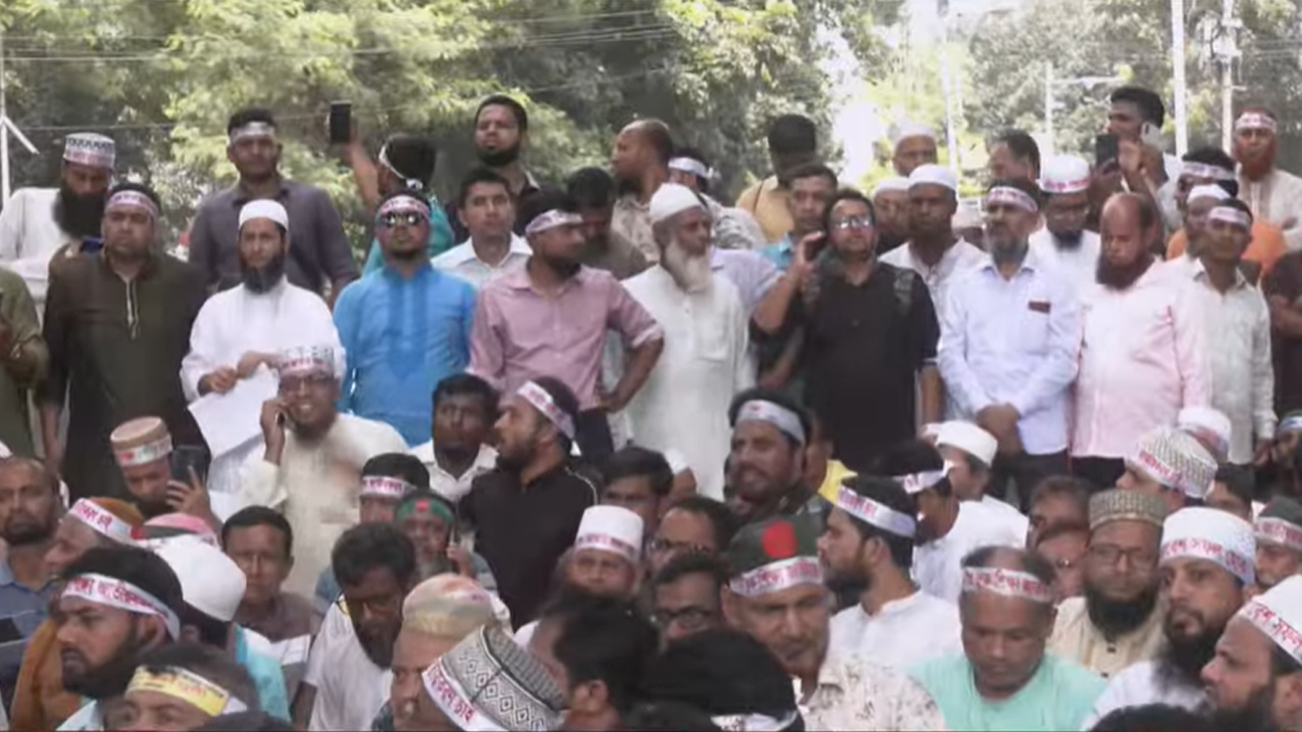 Xoroz va toplar pantiesda