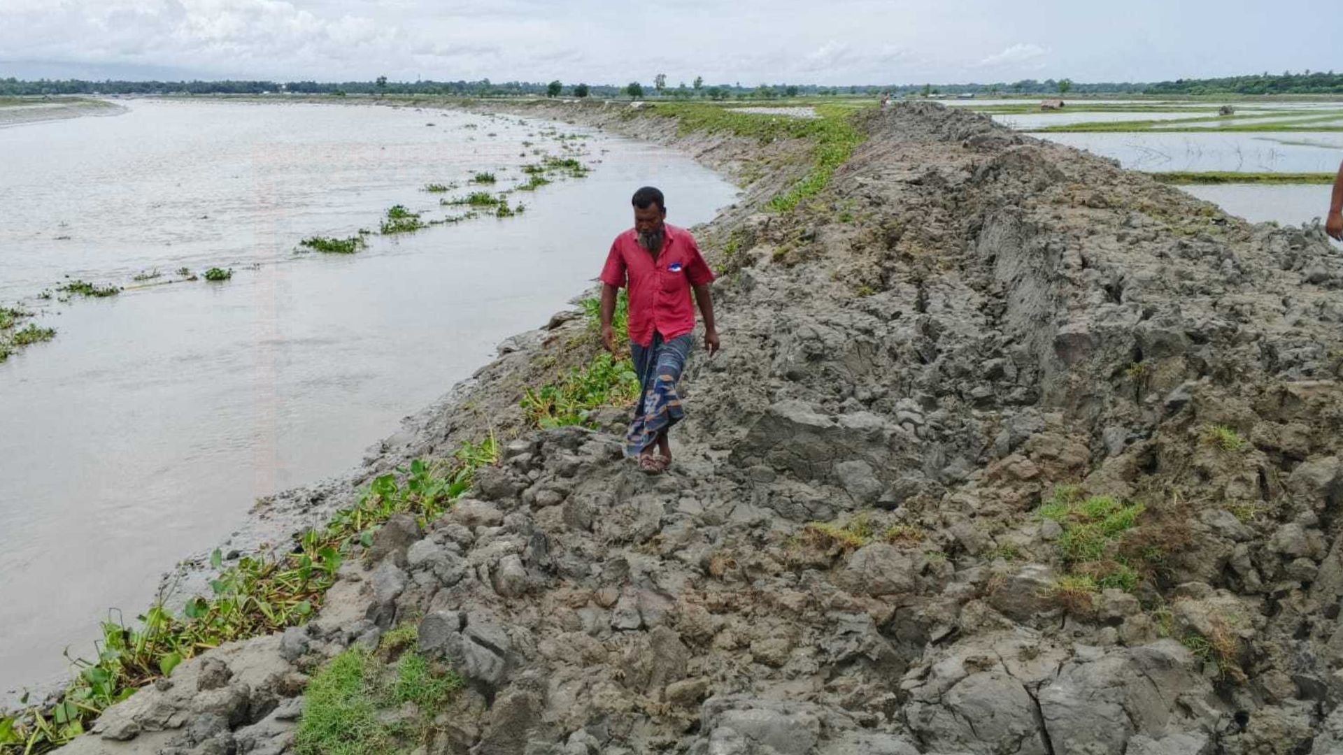 কপোতাক্ষ নদের বেরিবাঁধে ভাঙন, ঝুঁকিতে কৃষি, মৎস্য ও বসতবাড়ি