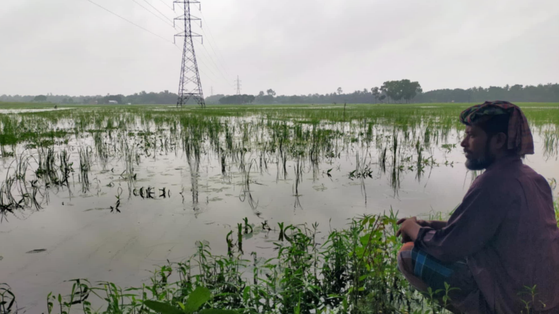‘চোখের সামনে পচে গেল সব, কিছুই করতে পারলাম না’