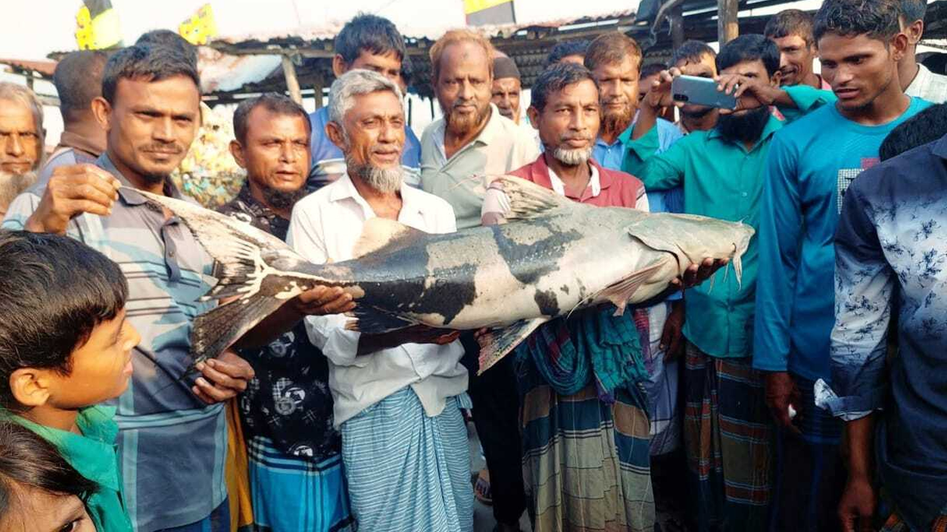 মেঘনায় ধরা পড়ল ২১ কেজির বাঘাইড়, দাম কত?