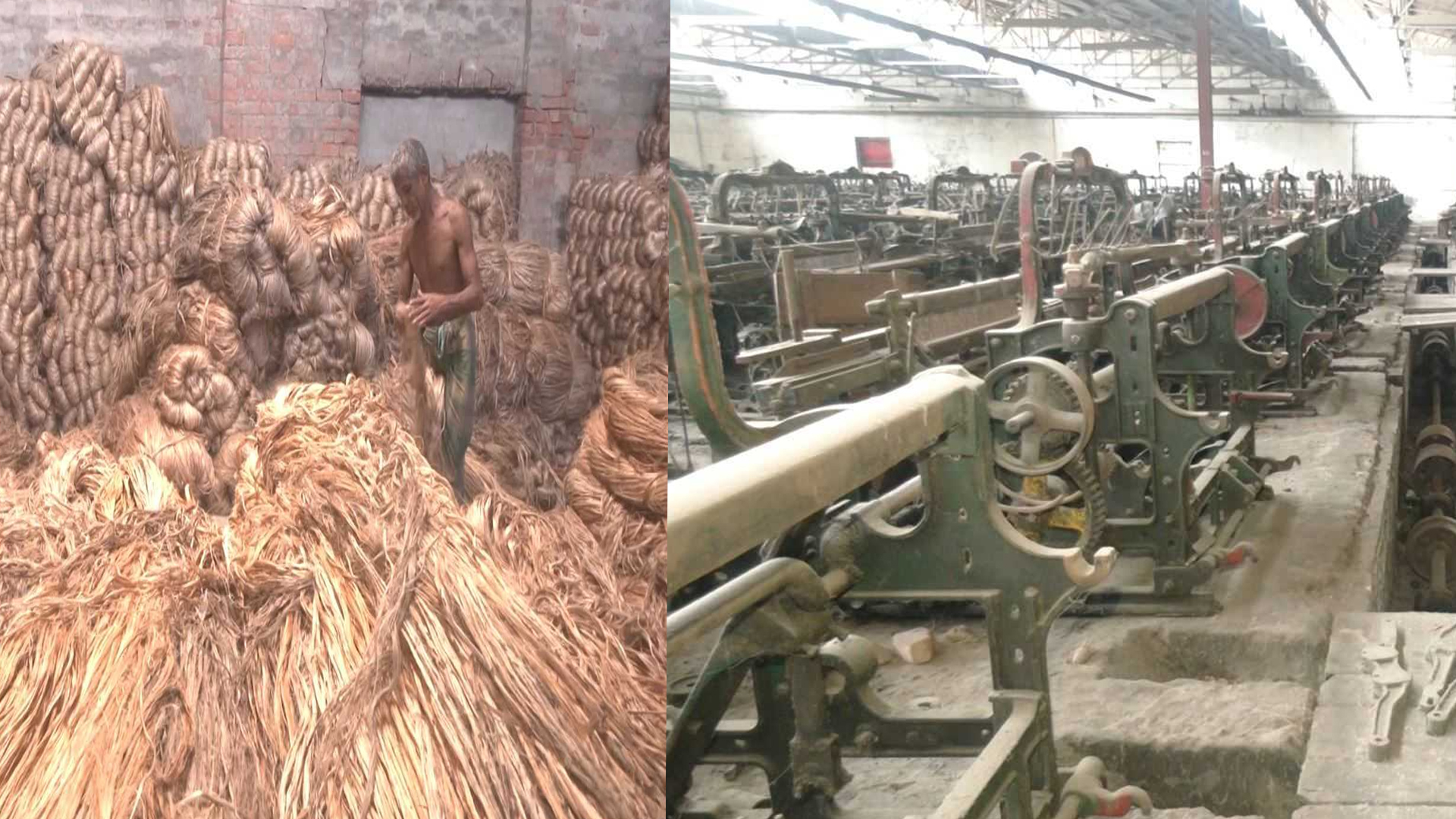 কাঁচা পাটের অস্বাভাবিক দামে পাটকলে উৎপাদন বন্ধ