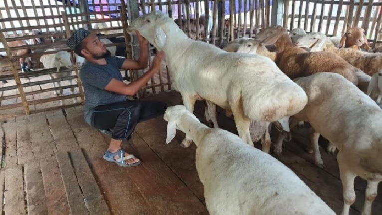 Mast uxlayotgan qizlar ortasidagi jinsiy aloqa