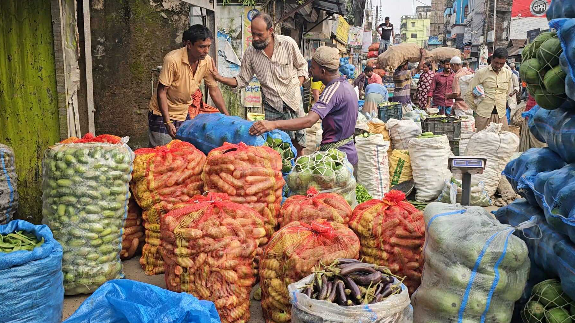 নেত্রকোনায় বাজারে আগাম শীতকালীন সবজি এলেও দাম চড়া