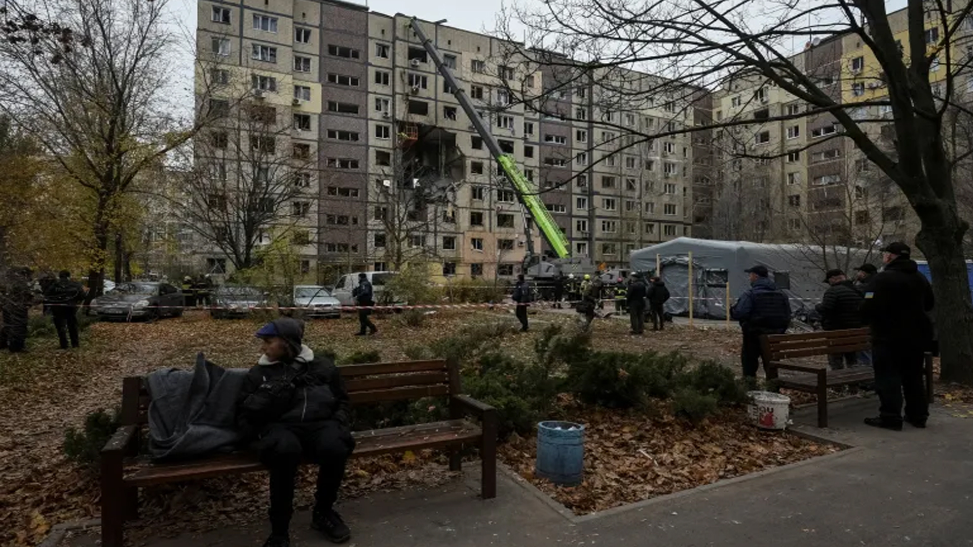 Teri dumbalari haqida video