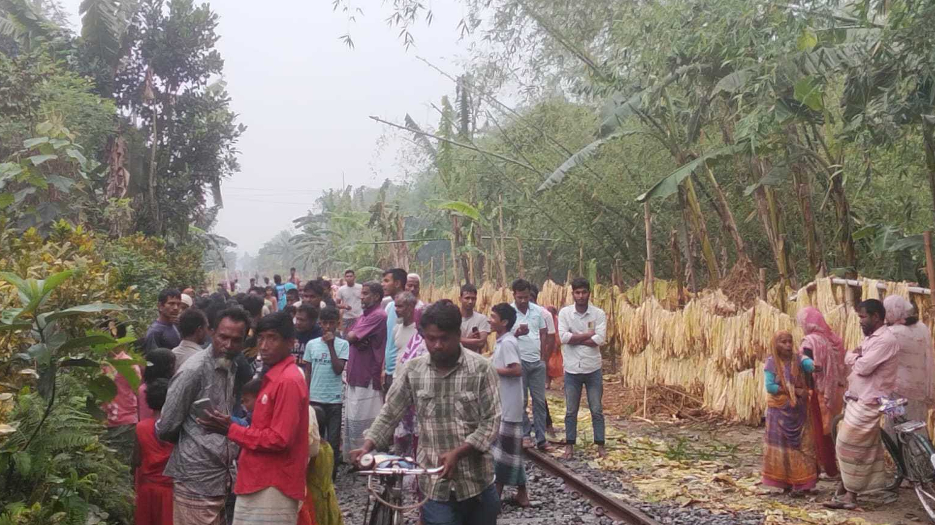 রেললাইনে শুয়ে ছিলেন বৃদ্ধ, ট্রেনে কাটা পড়ে গেল প্রাণ