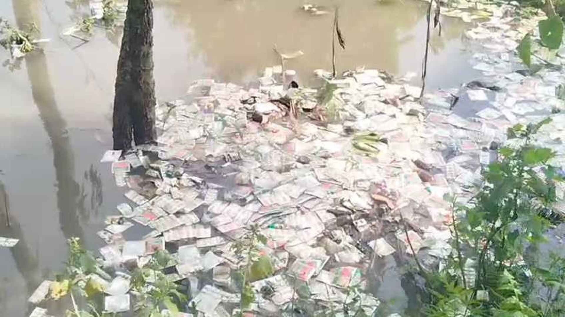 জামালপুুরের ডোবায় ভাসছে বিপুল সংখ্যক সরকারি ওষুধ