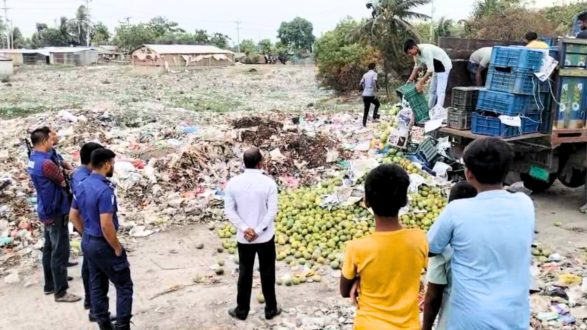 বেশি লাভের আশায় কেমিক্যাল দিয়ে আম পাকিয়ে বিপাকে ব্যবসায়ী