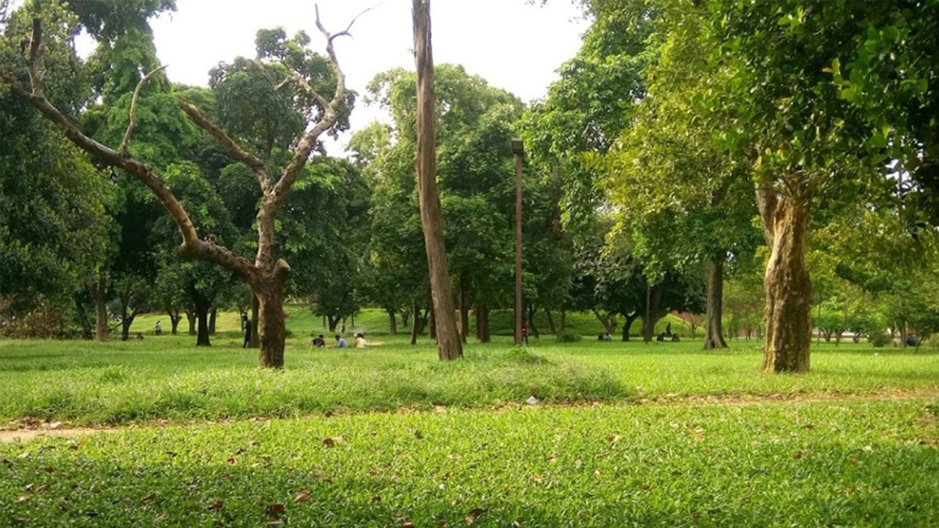 সোহরাওয়ার্দী উদ্যানে মাদকবিরোধী অভিযান, আটক ২০