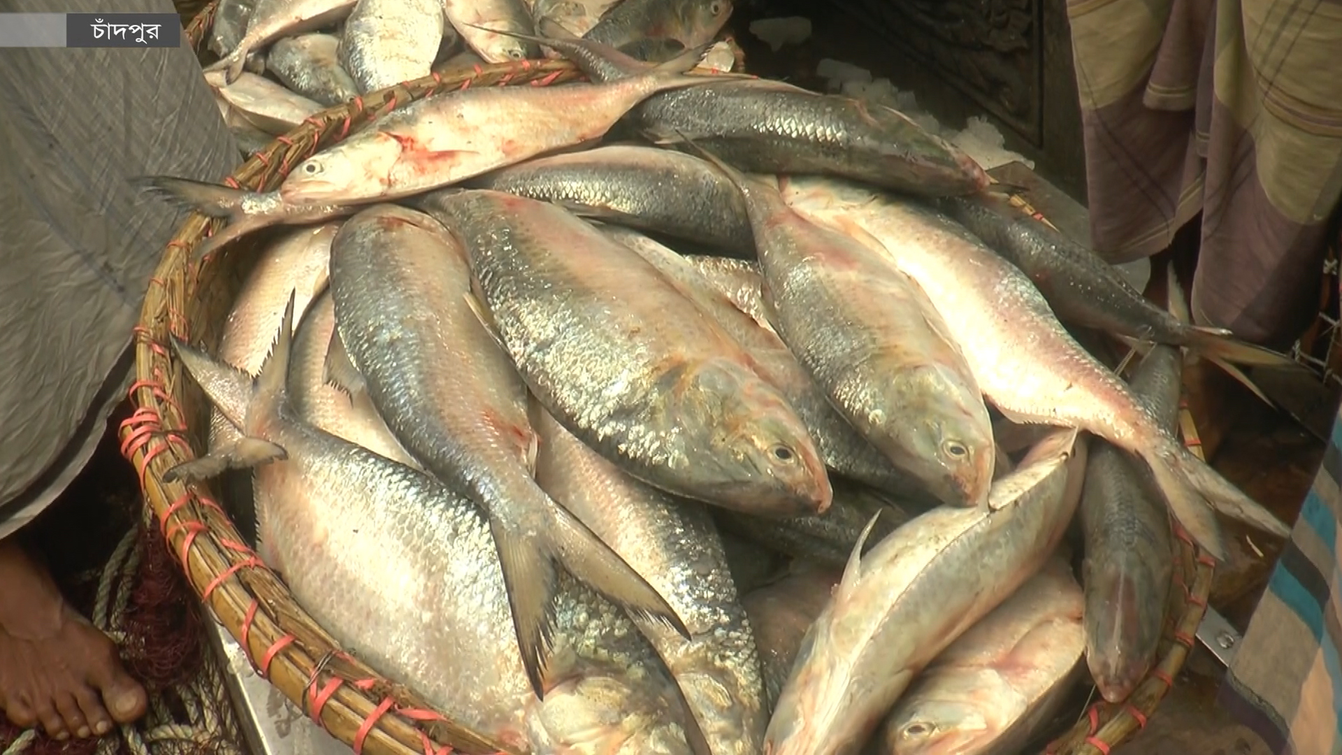 Retro lezbiyenlarni tomosha qiling