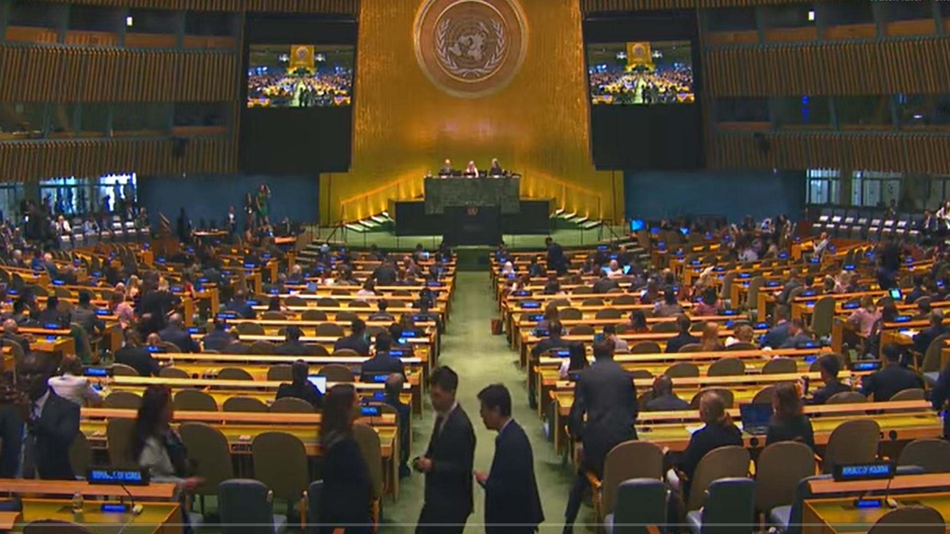 Improvizatsiya qilingan vositalardan tayyorlangan mushuk