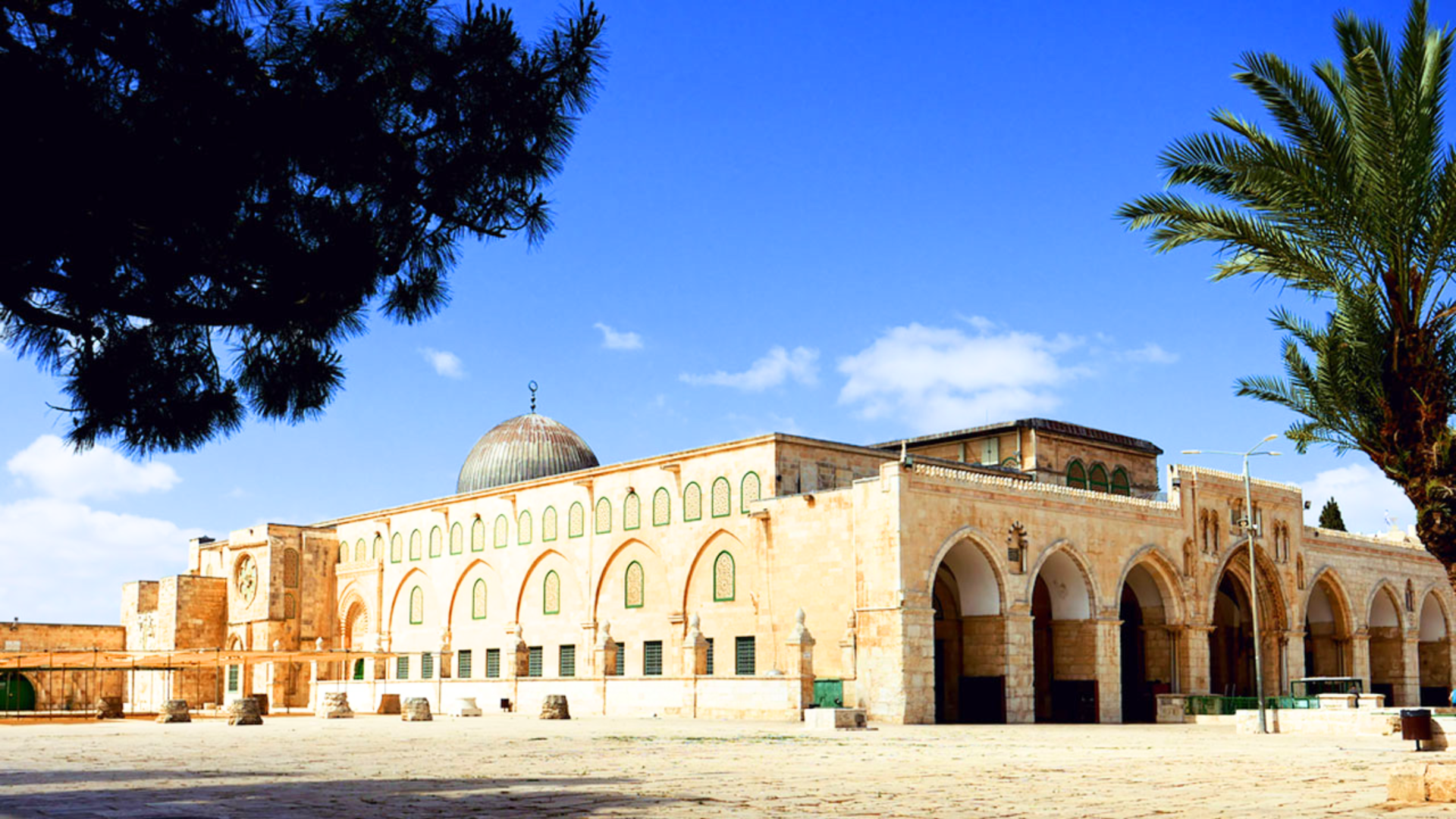 Ukrainada erotika va pornografiya ortasidagi farq Mushuk ichidagi naycha