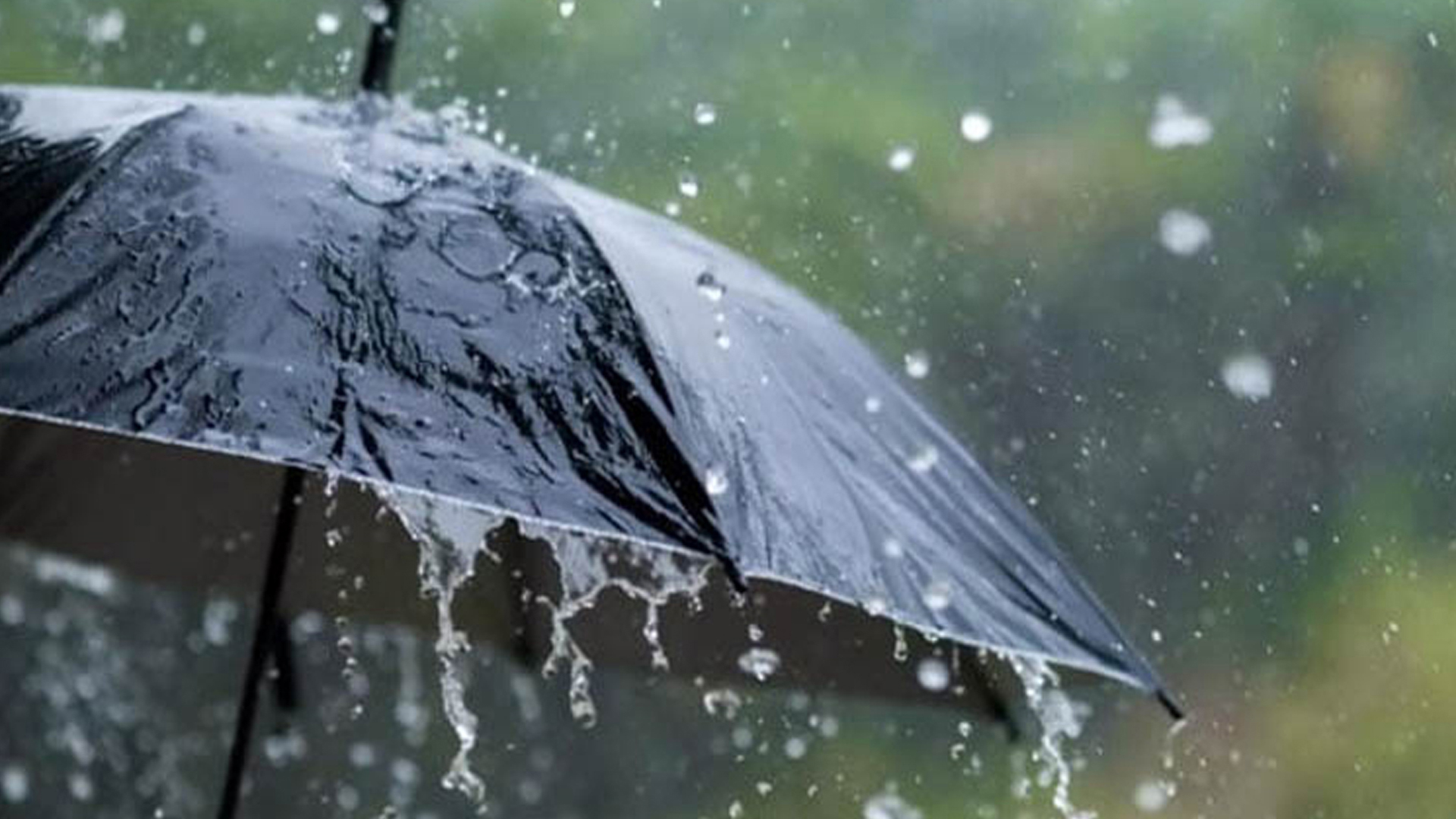 আজ সব বিভাগে বজ্রসহ বৃষ্টি হতে পারে