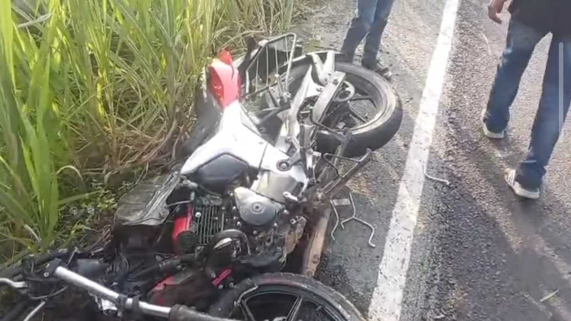 ফরিদপুরে ২৪ ঘণ্টায় সড়কে ঝরল ৫ প্রাণ