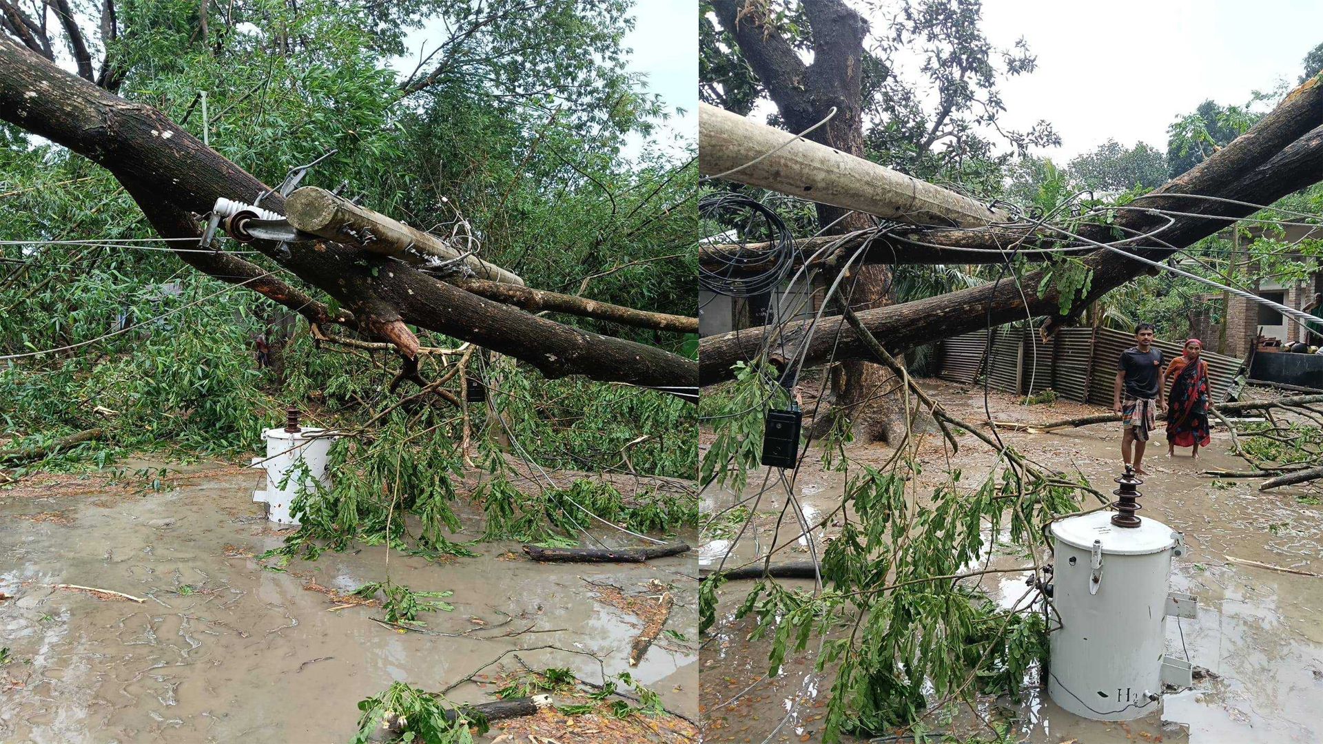 যশোরে বজ্রপাতে ২ জনের মৃত্যু, ঝড়ে বিদ্যুৎবিচ্ছিন্ন বহু গ্রাম
