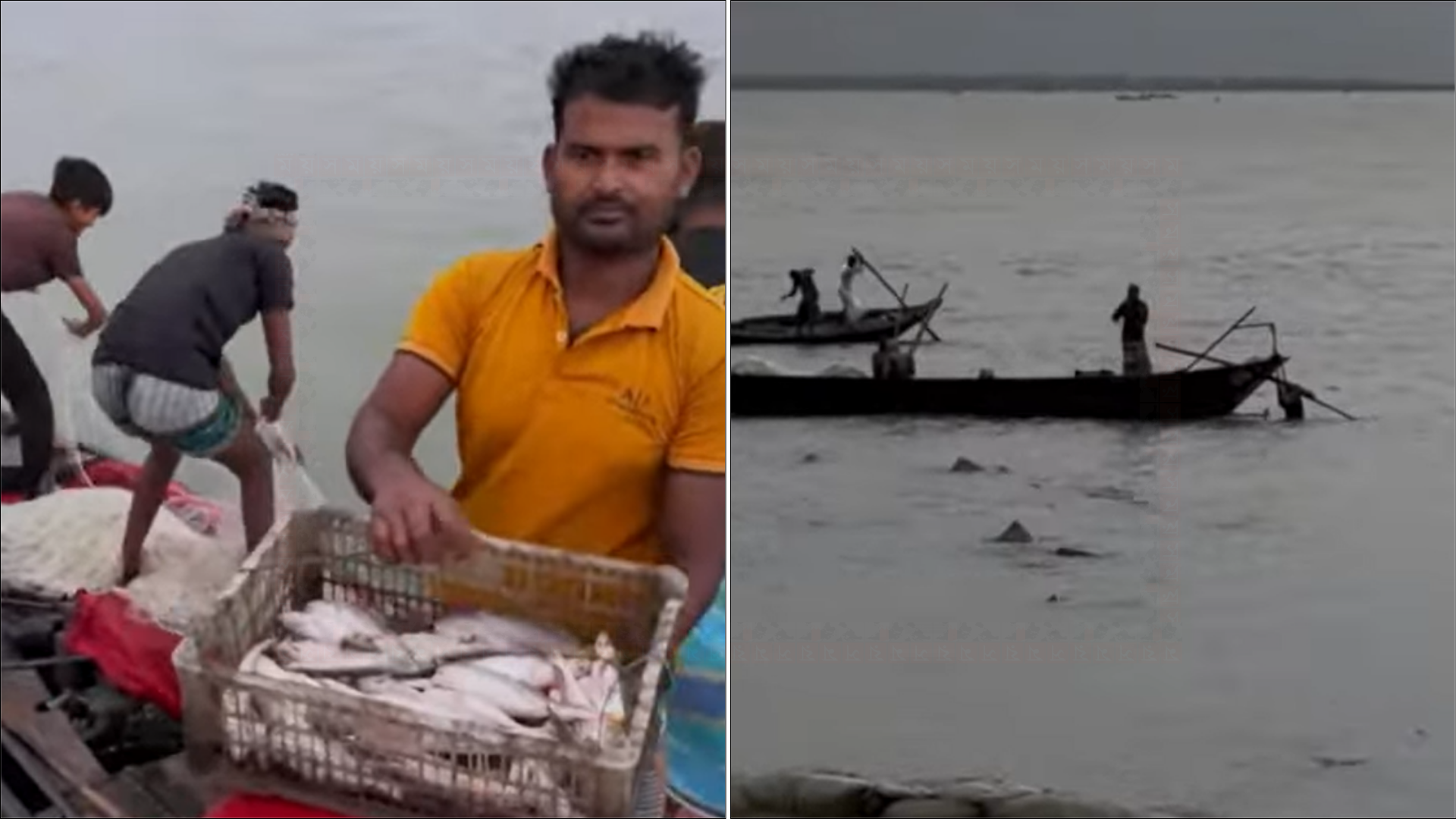 দুই মাস নিষেধাজ্ঞার পর অভয়াশ্রমে আবারও মাছ শিকার শুরু
