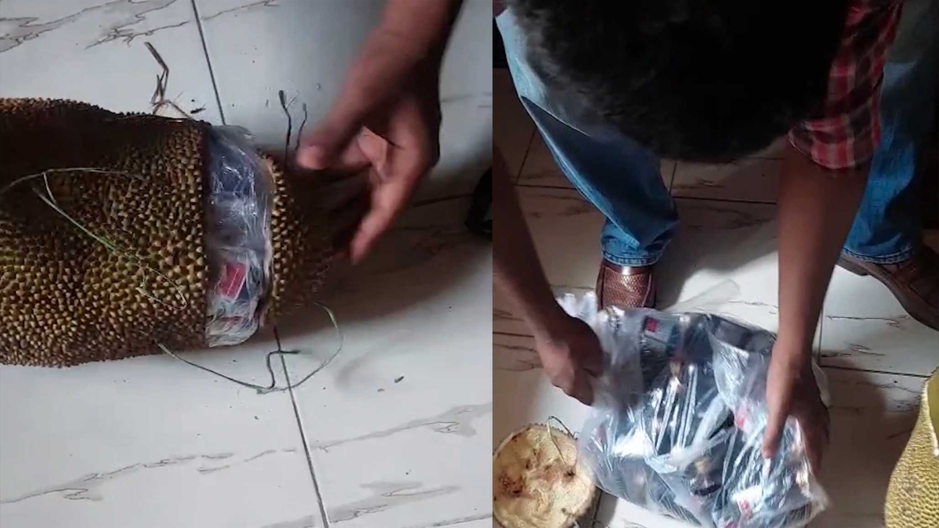 কাঁঠালের ভেতরে মিলল ৪০ বোতল মাদক!